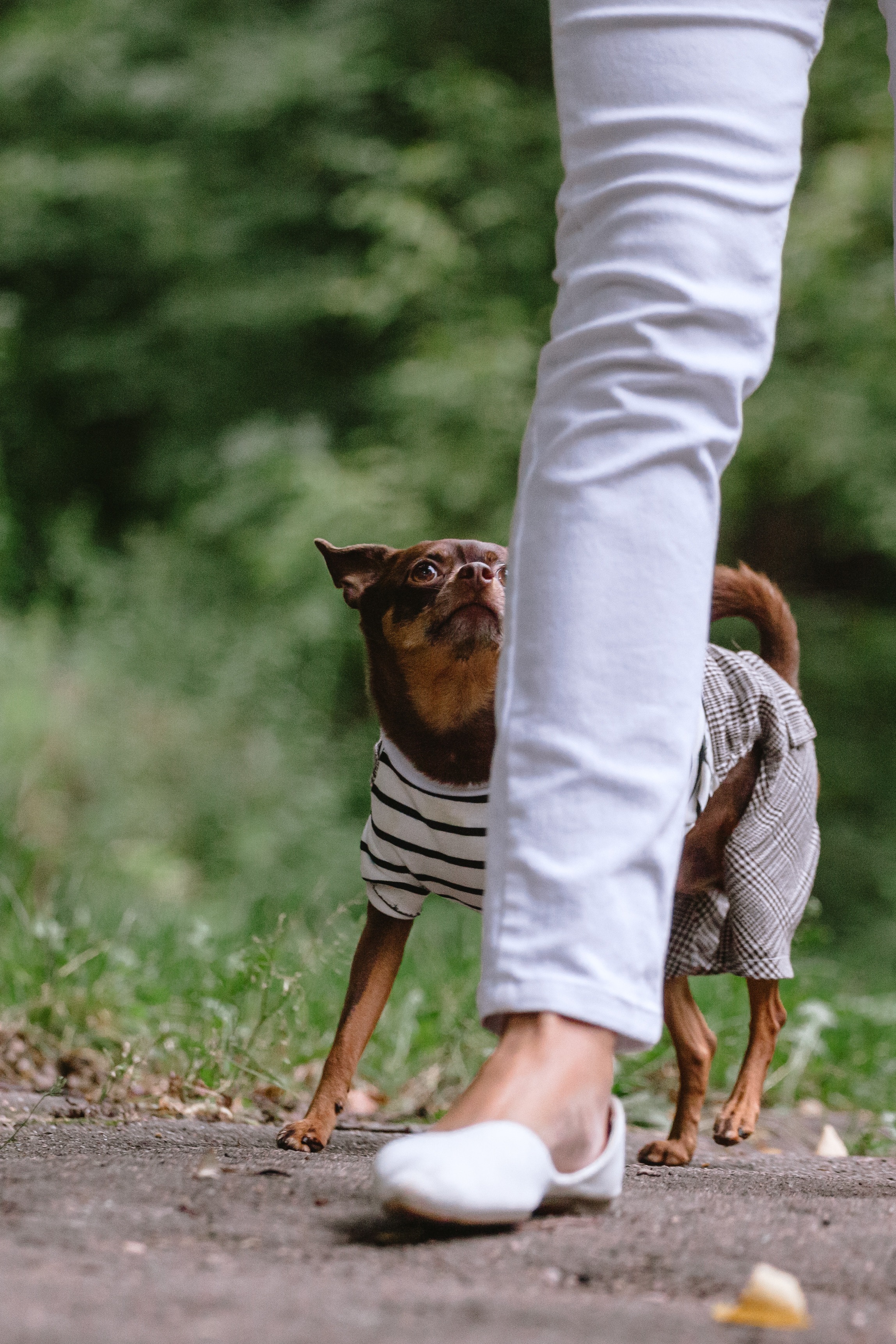 Юля и Леонид. Фотограф-анималист Татьяна Степанова