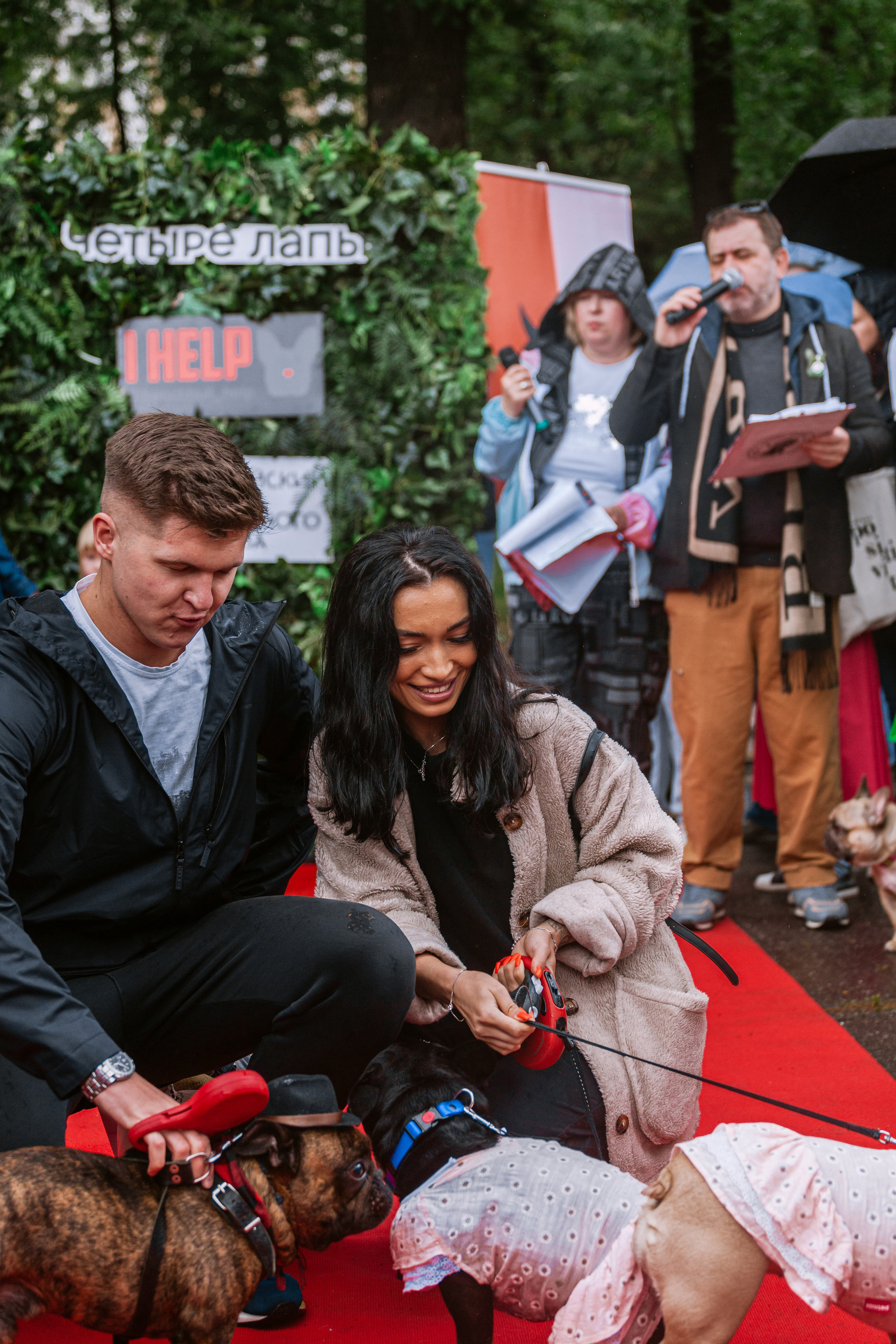 Парад французских бульдогов 15.07.2023. Фотограф-анималист Татьяна Степанова