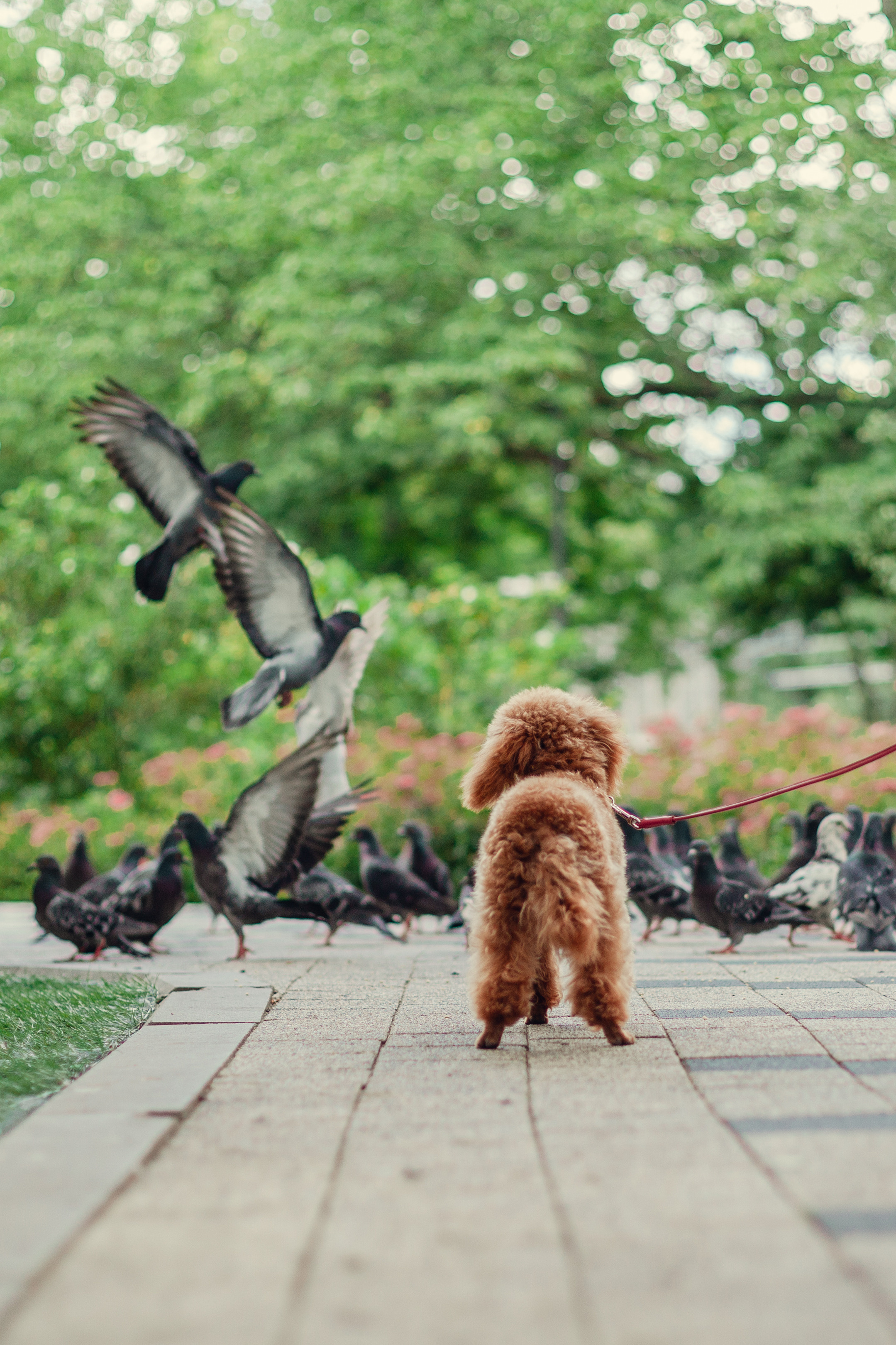 Оля и Ася. Фотограф-анималист Татьяна Степанова