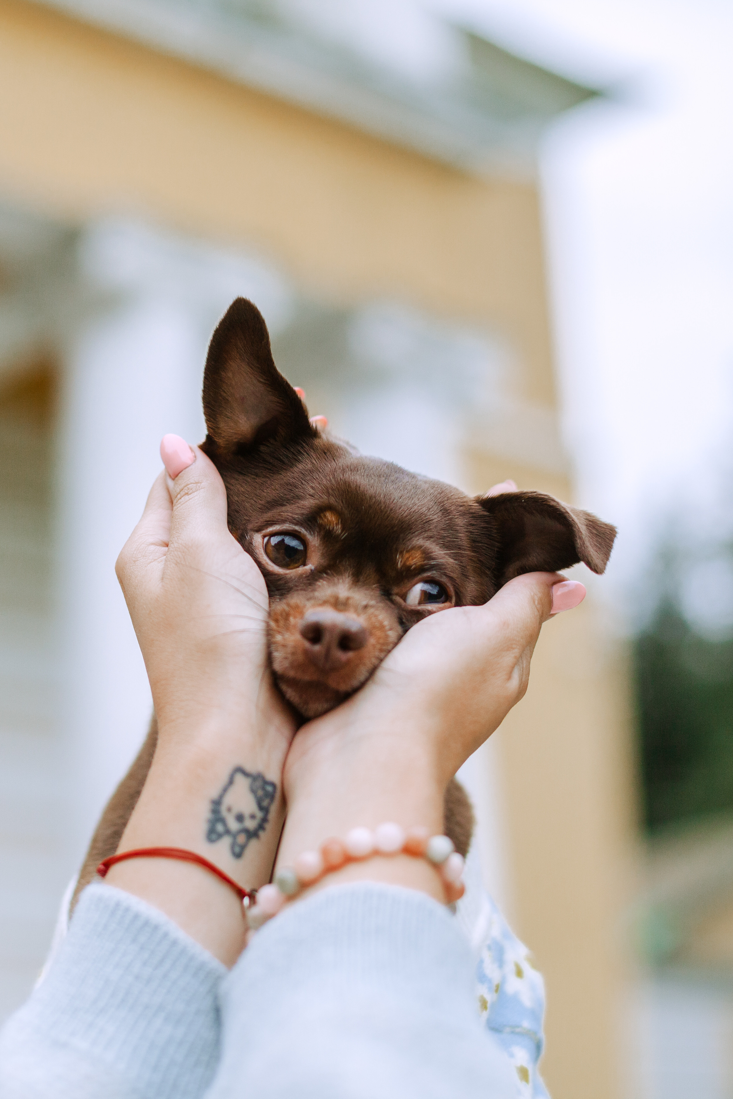 Юля и Леонид. Фотограф-анималист Татьяна Степанова