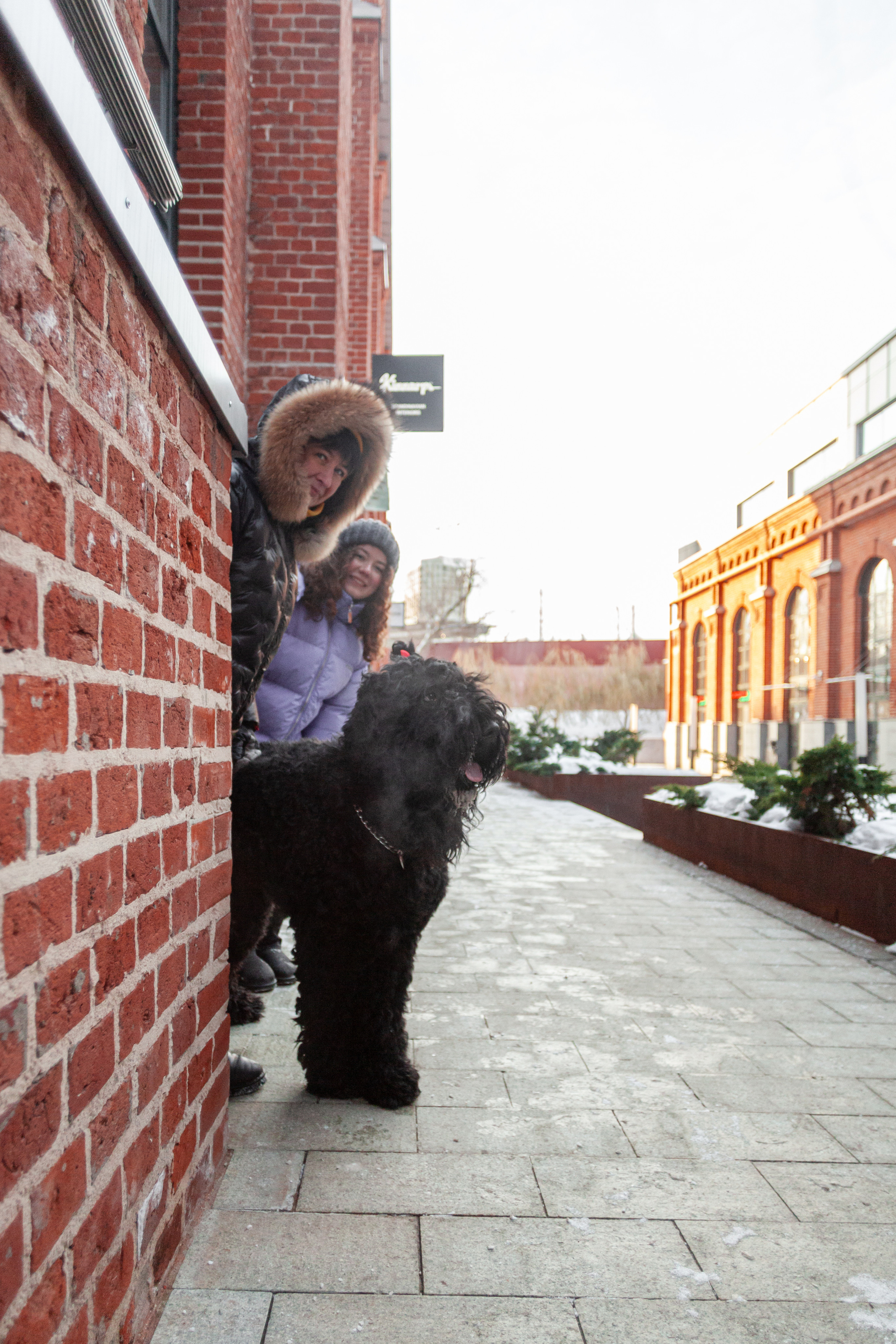 Фотопрогулка завод Арма. Фотограф-анималист Татьяна Степанова