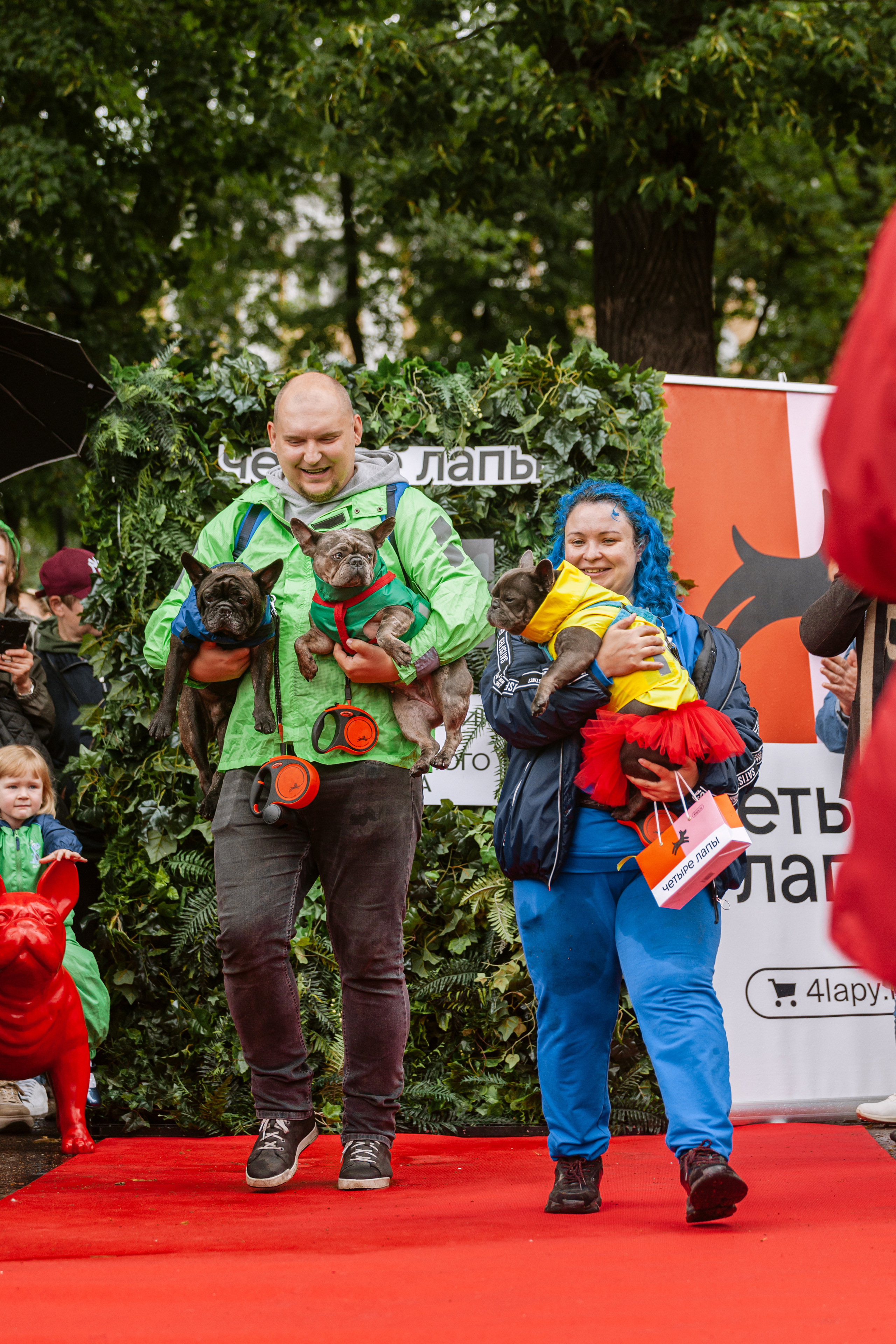 Парад французских бульдогов 15.07.2023. Фотограф-анималист Татьяна Степанова