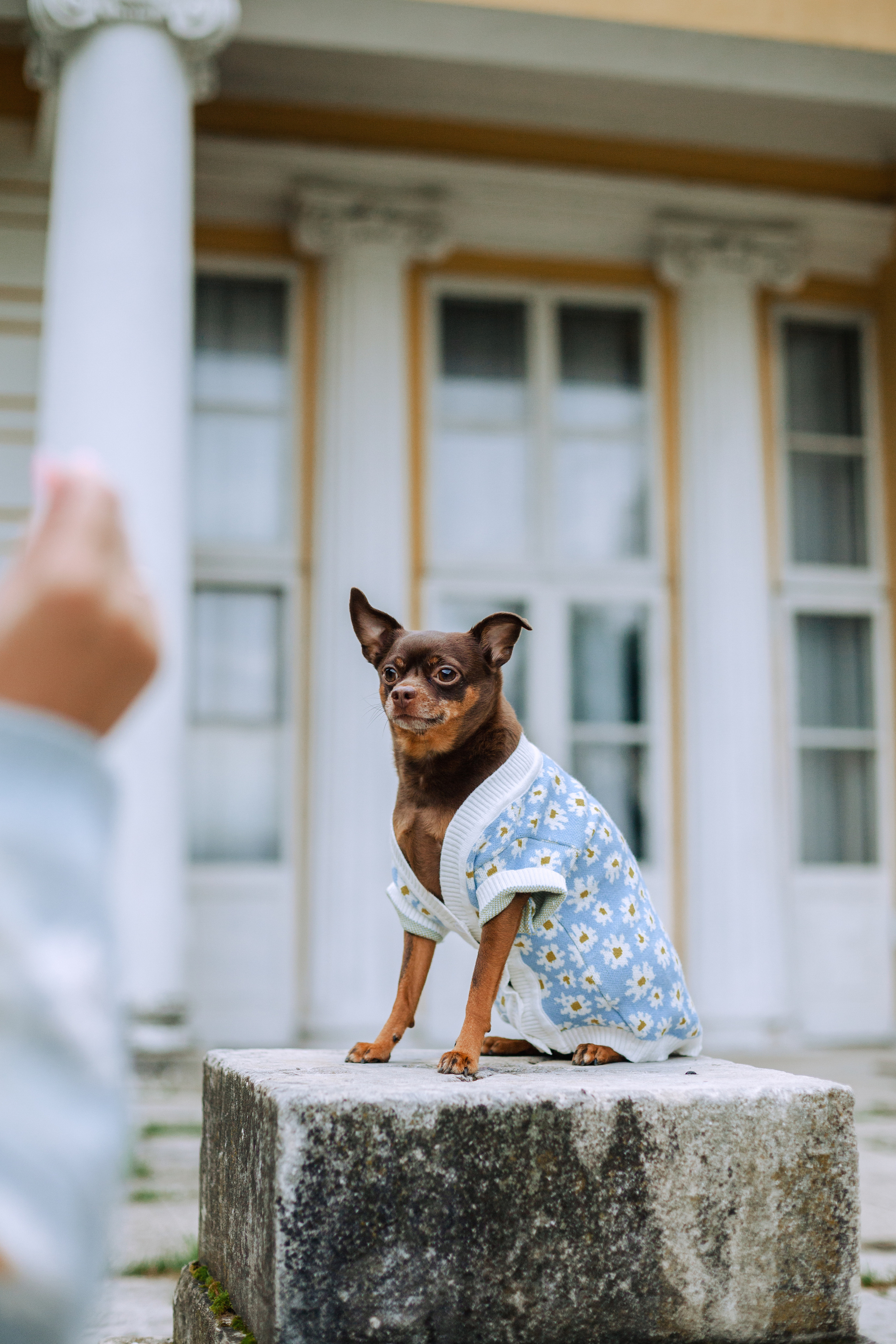 Юля и Леонид. Фотограф-анималист Татьяна Степанова
