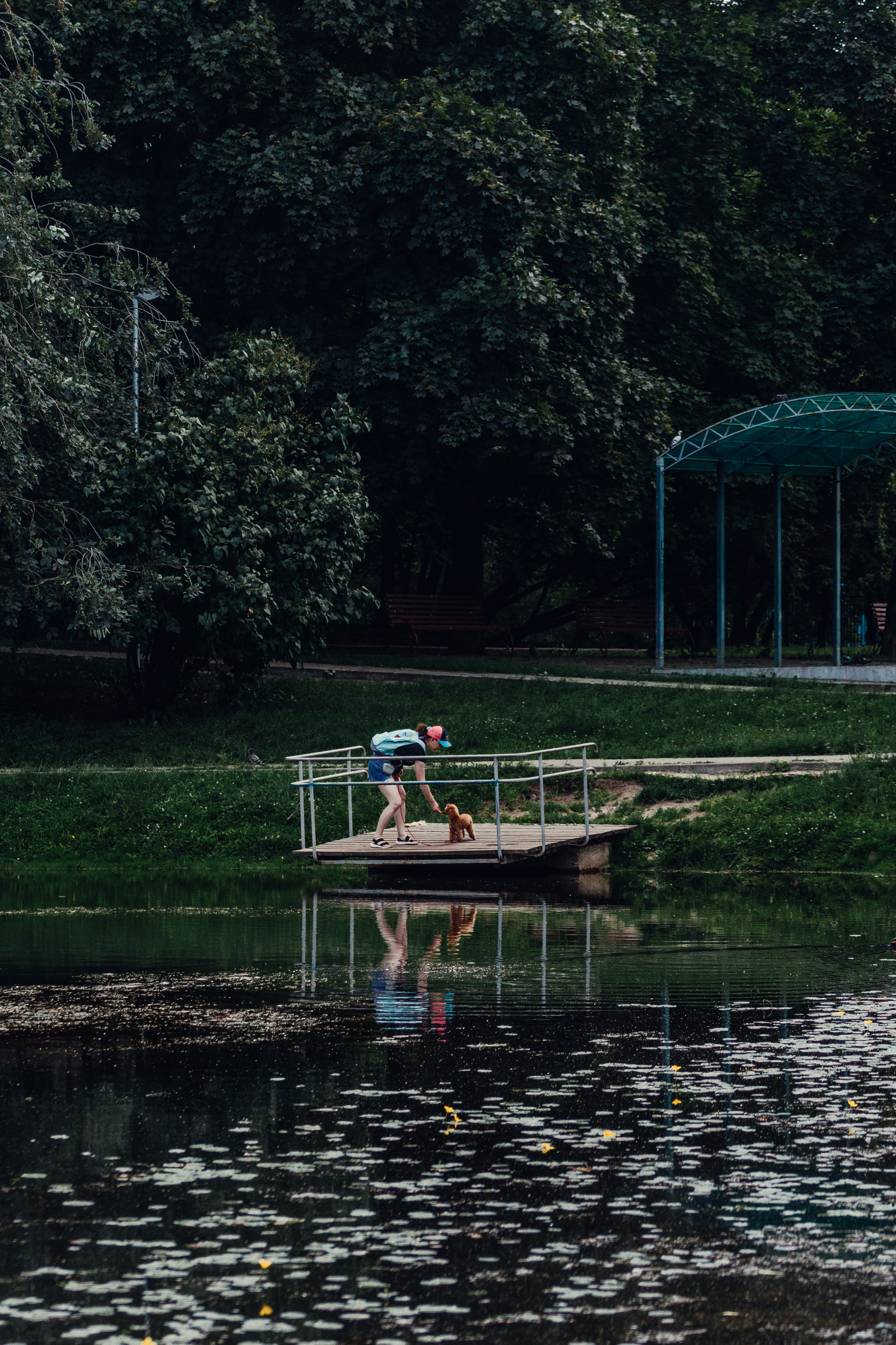 Оля и Ася. Фотограф-анималист Татьяна Степанова