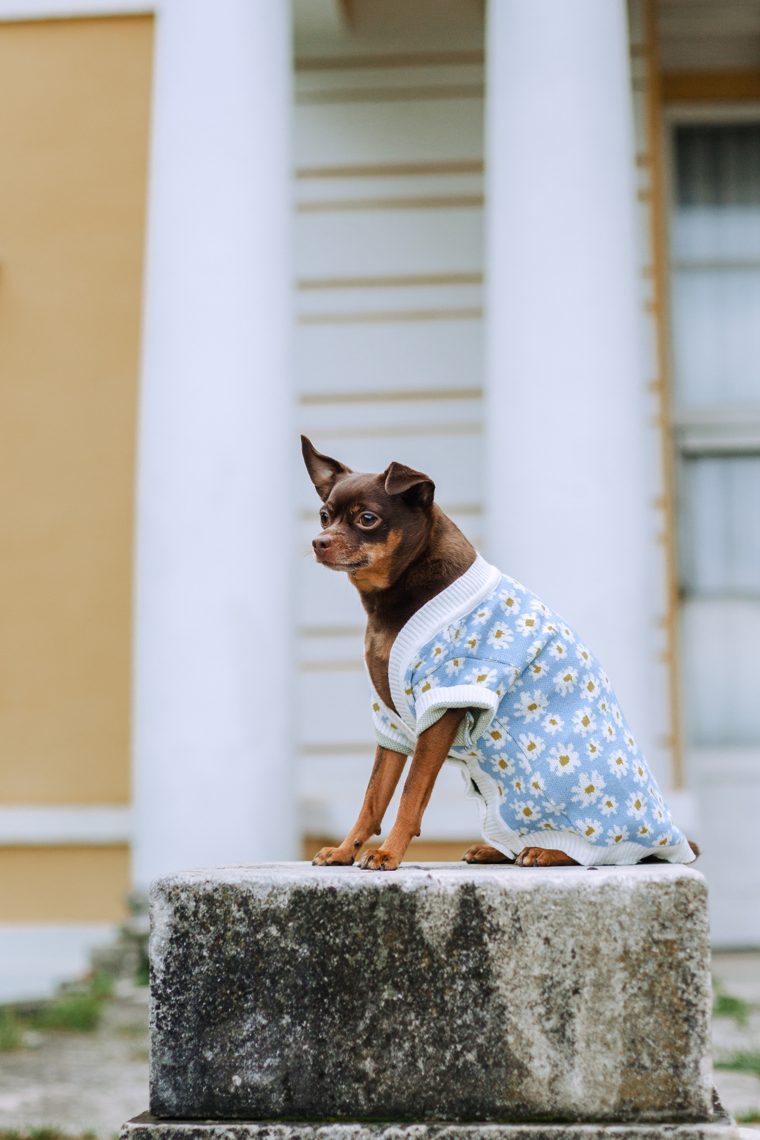 Юля и Леонид. Фотограф-анималист Татьяна Степанова