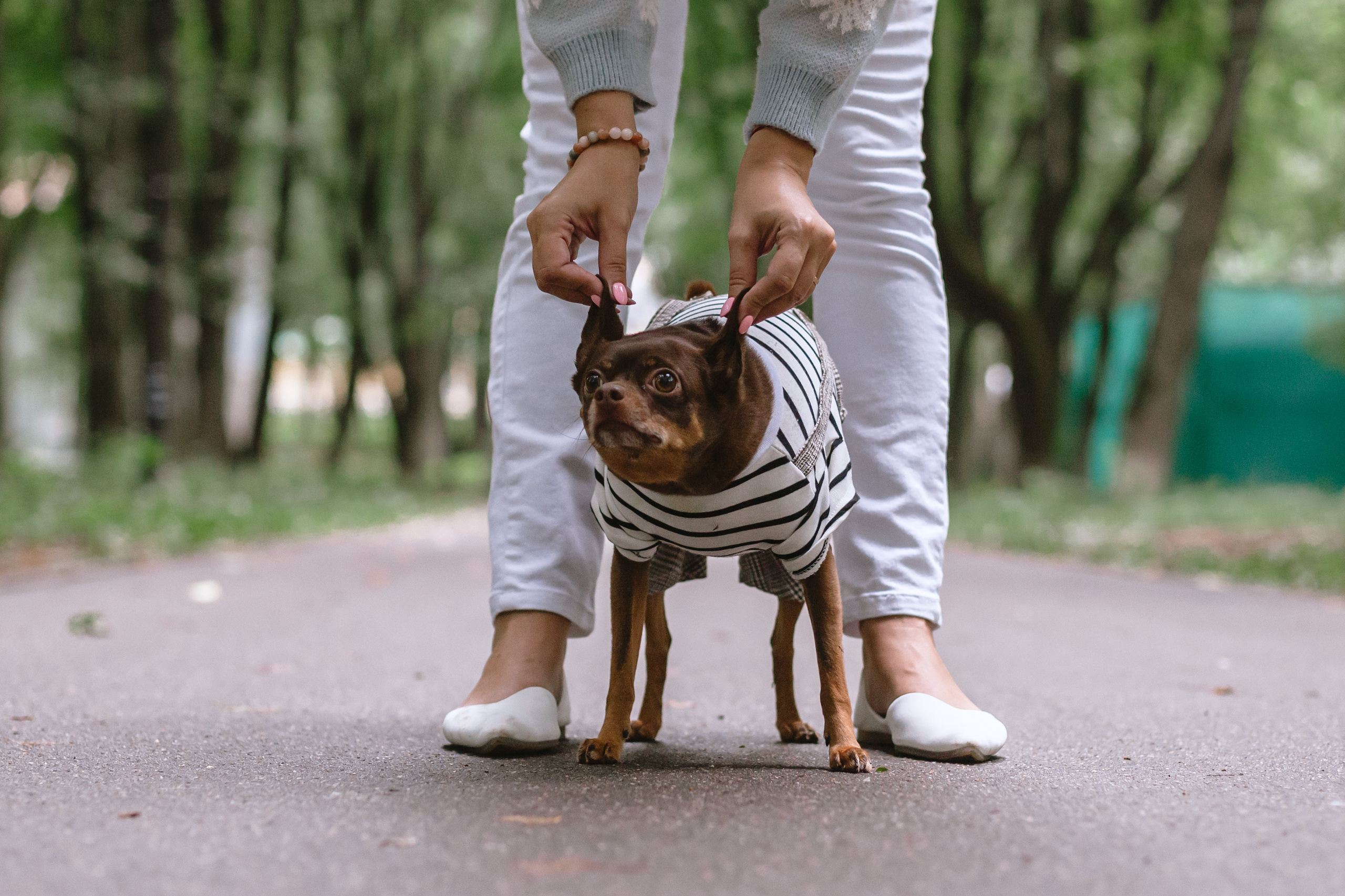 Юля и Леонид. Фотограф-анималист Татьяна Степанова