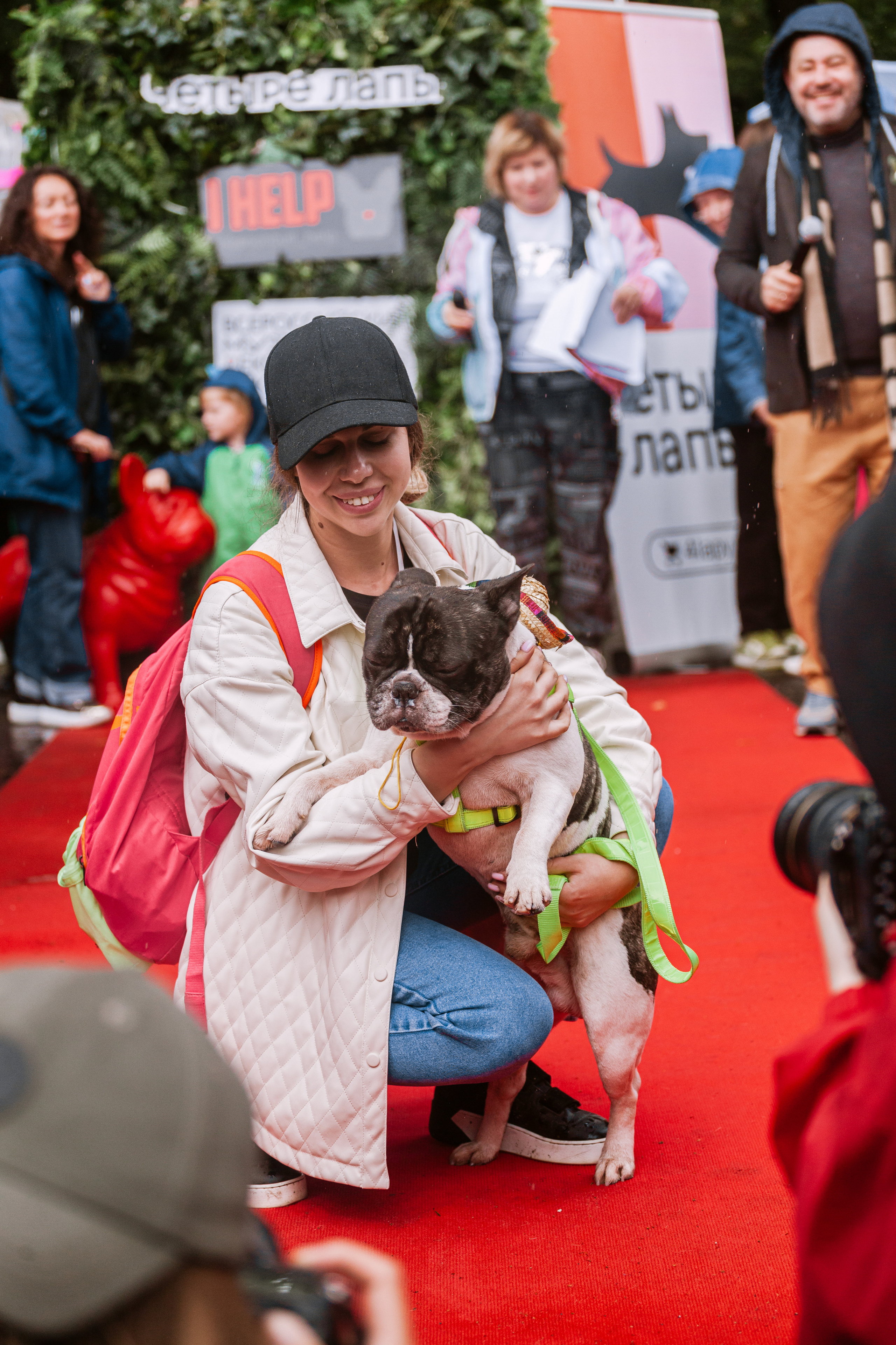 Парад французских бульдогов 15.07.2023. Фотограф-анималист Татьяна Степанова