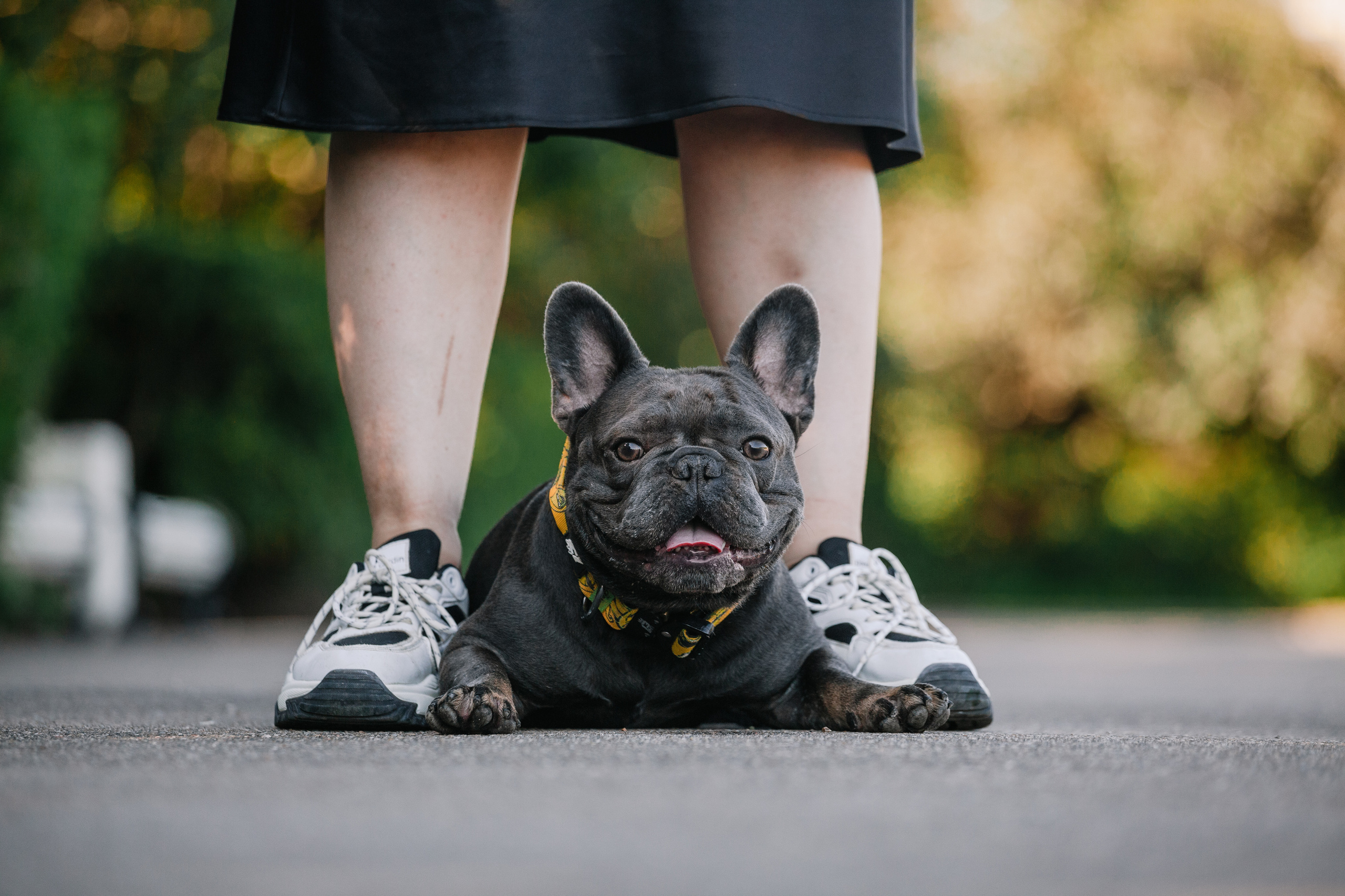 Фотопрогулка у МГУ. Фотограф-анималист Татьяна Степанова