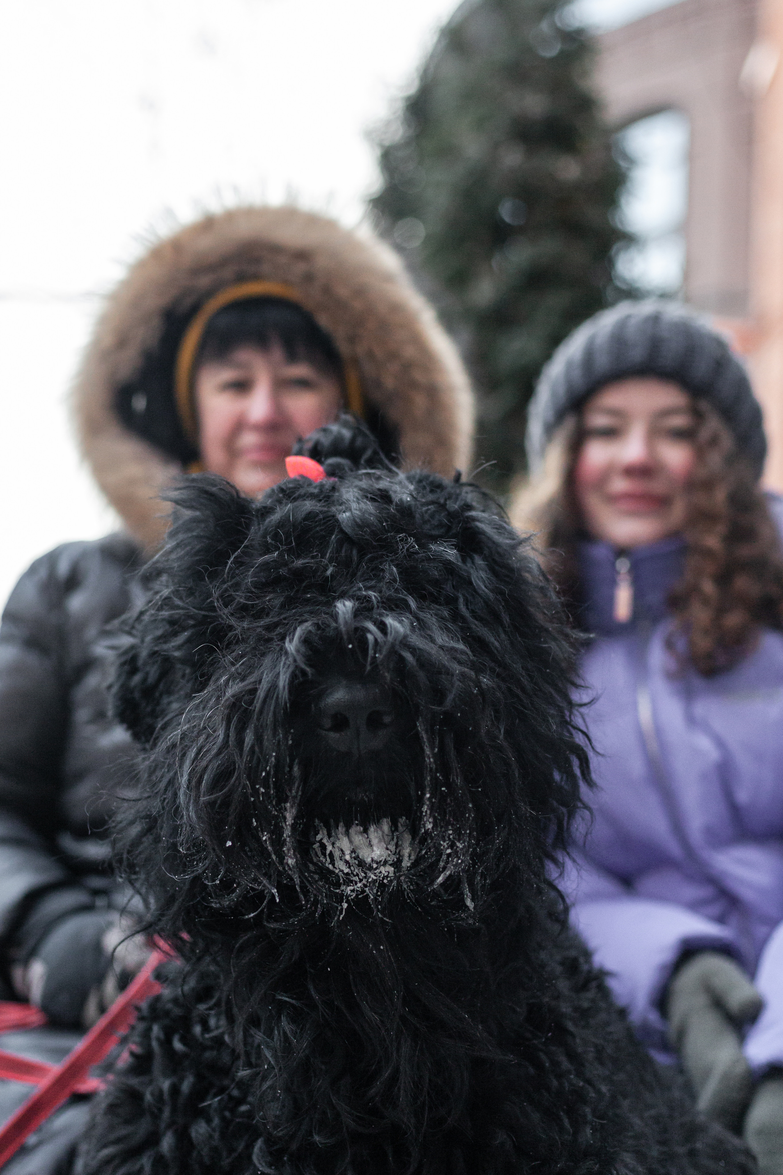 Фотопрогулка завод Арма. Фотограф-анималист Татьяна Степанова
