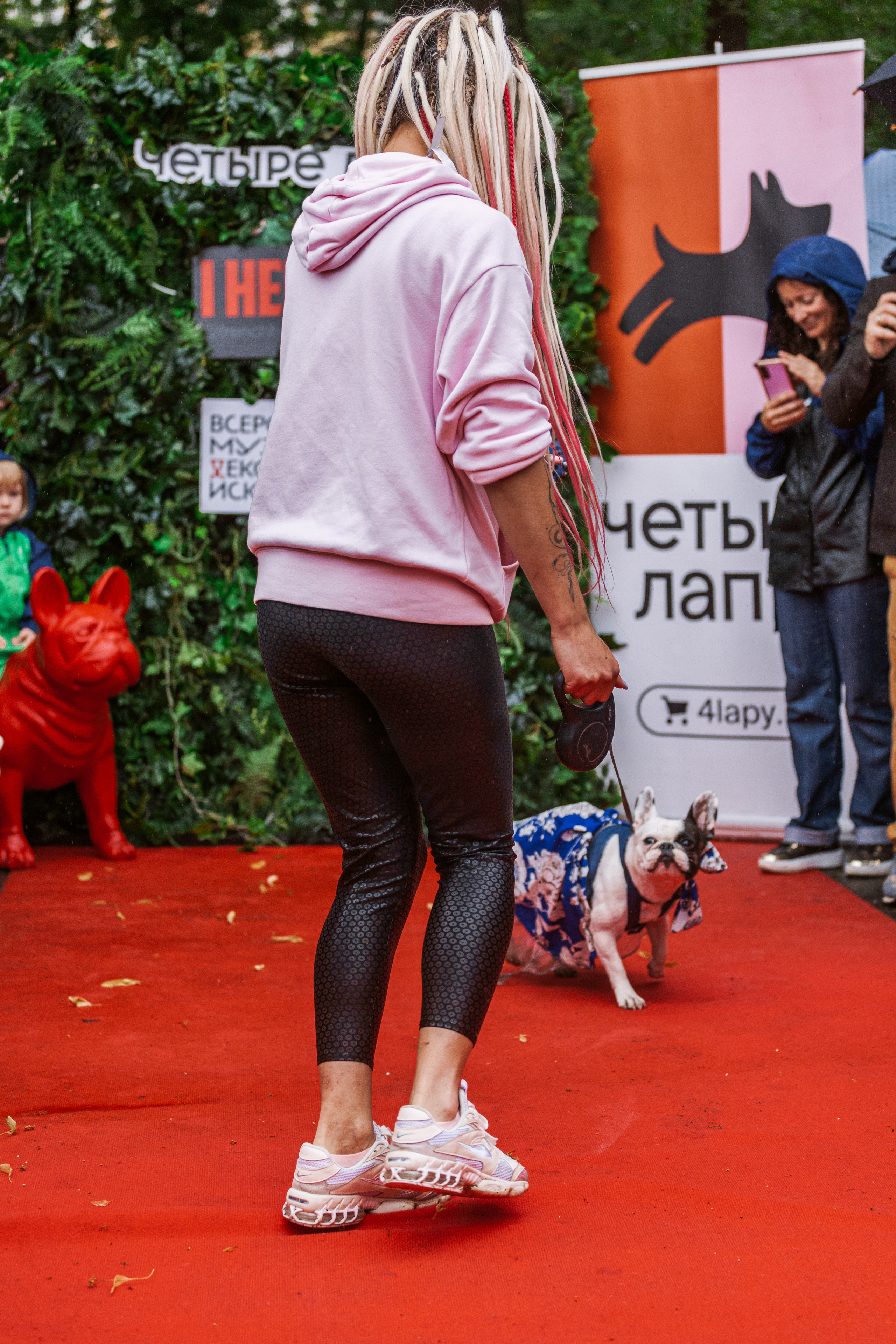 Парад французских бульдогов 15.07.2023. Фотограф-анималист Татьяна Степанова