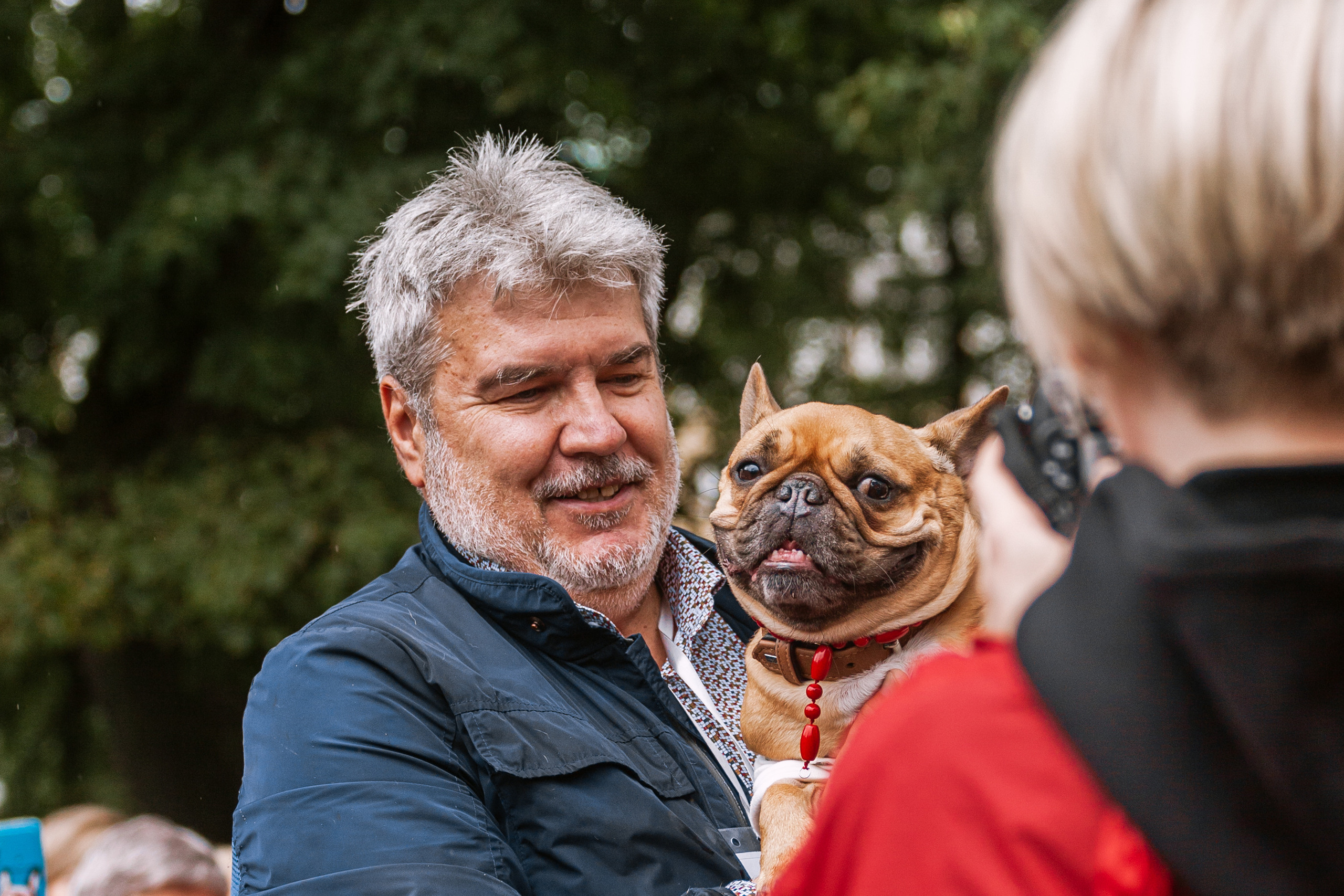 Парад французских бульдогов 15.07.2023. Фотограф-анималист Татьяна Степанова