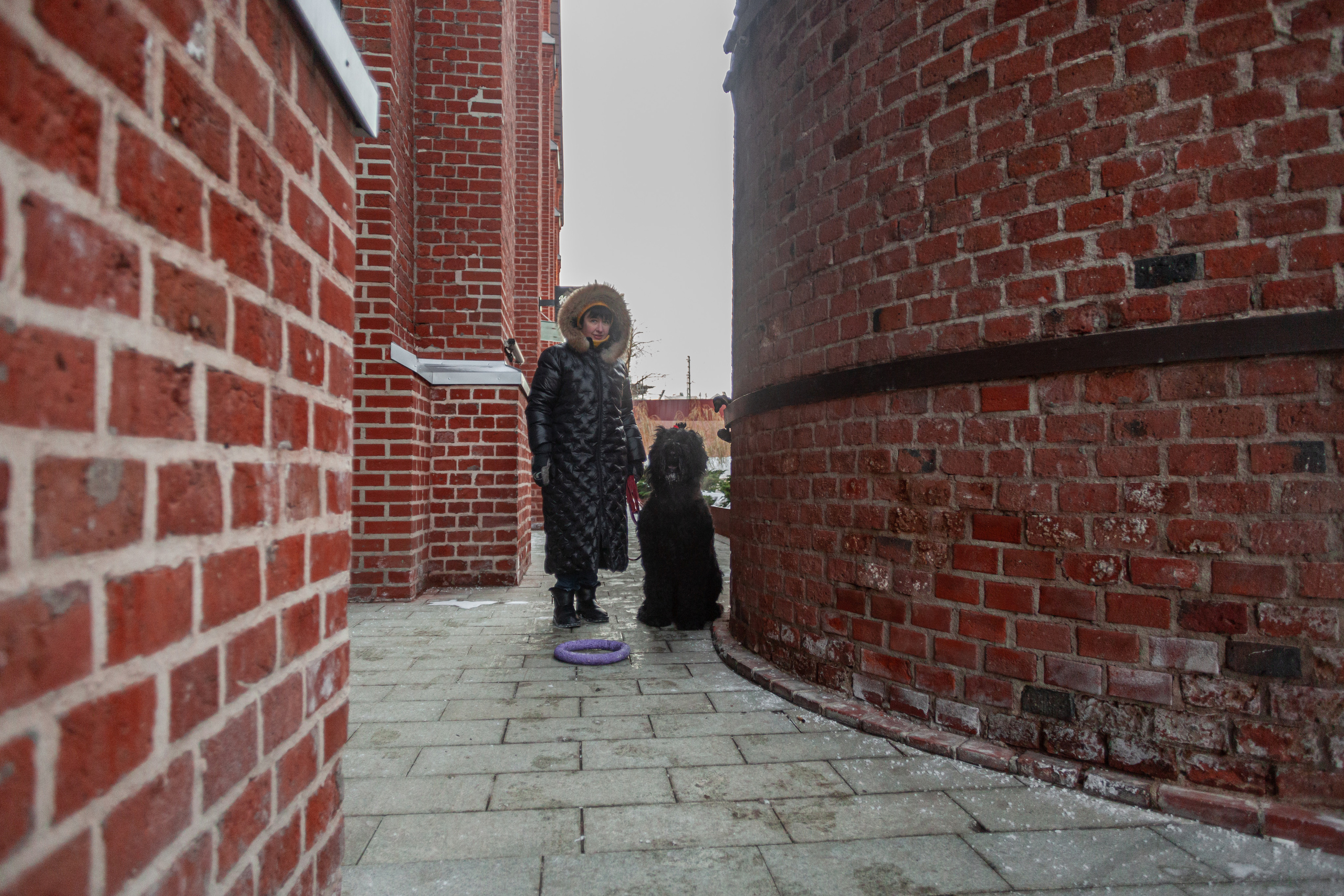 Фотопрогулка завод Арма. Фотограф-анималист Татьяна Степанова