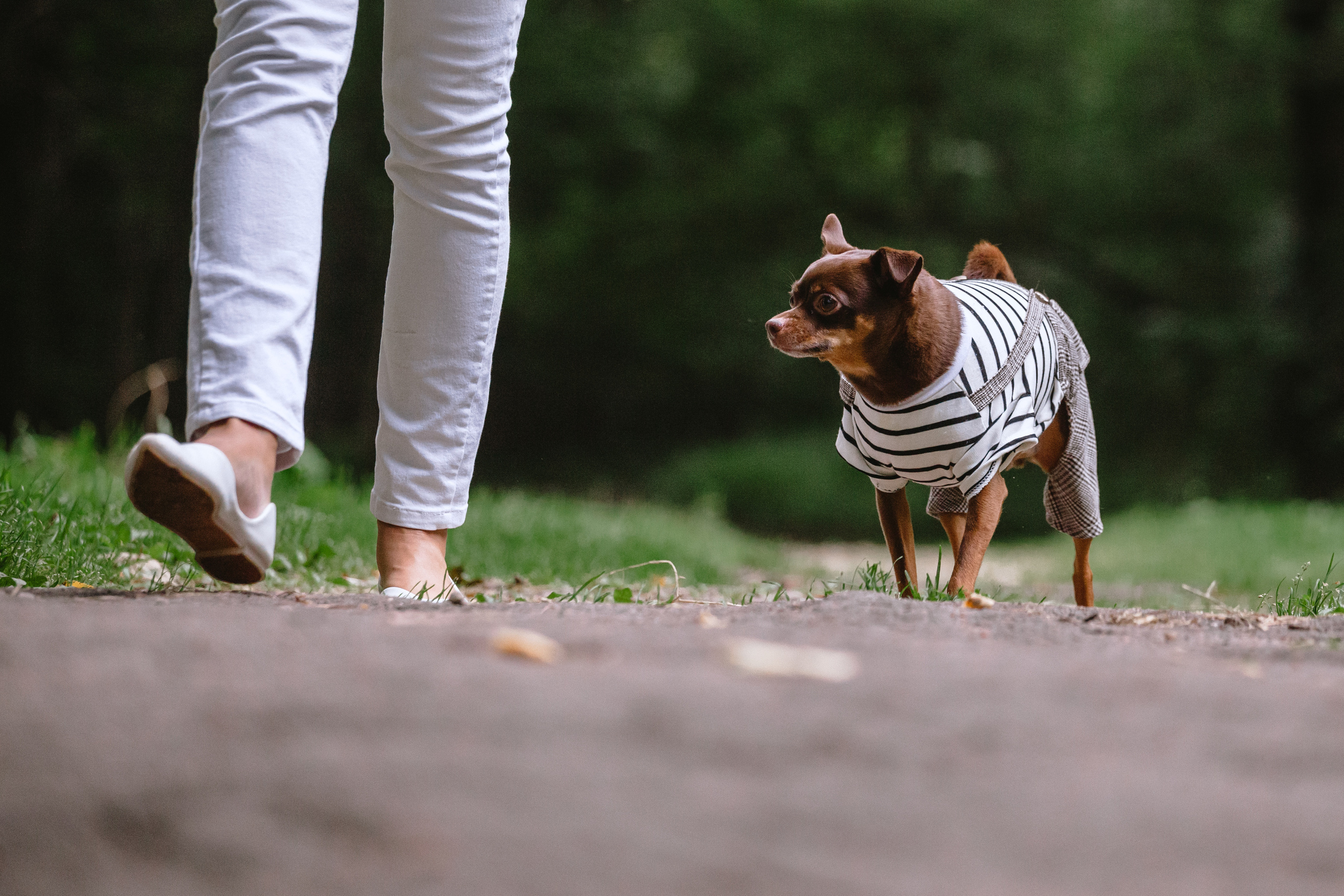 Юля и Леонид. Фотограф-анималист Татьяна Степанова
