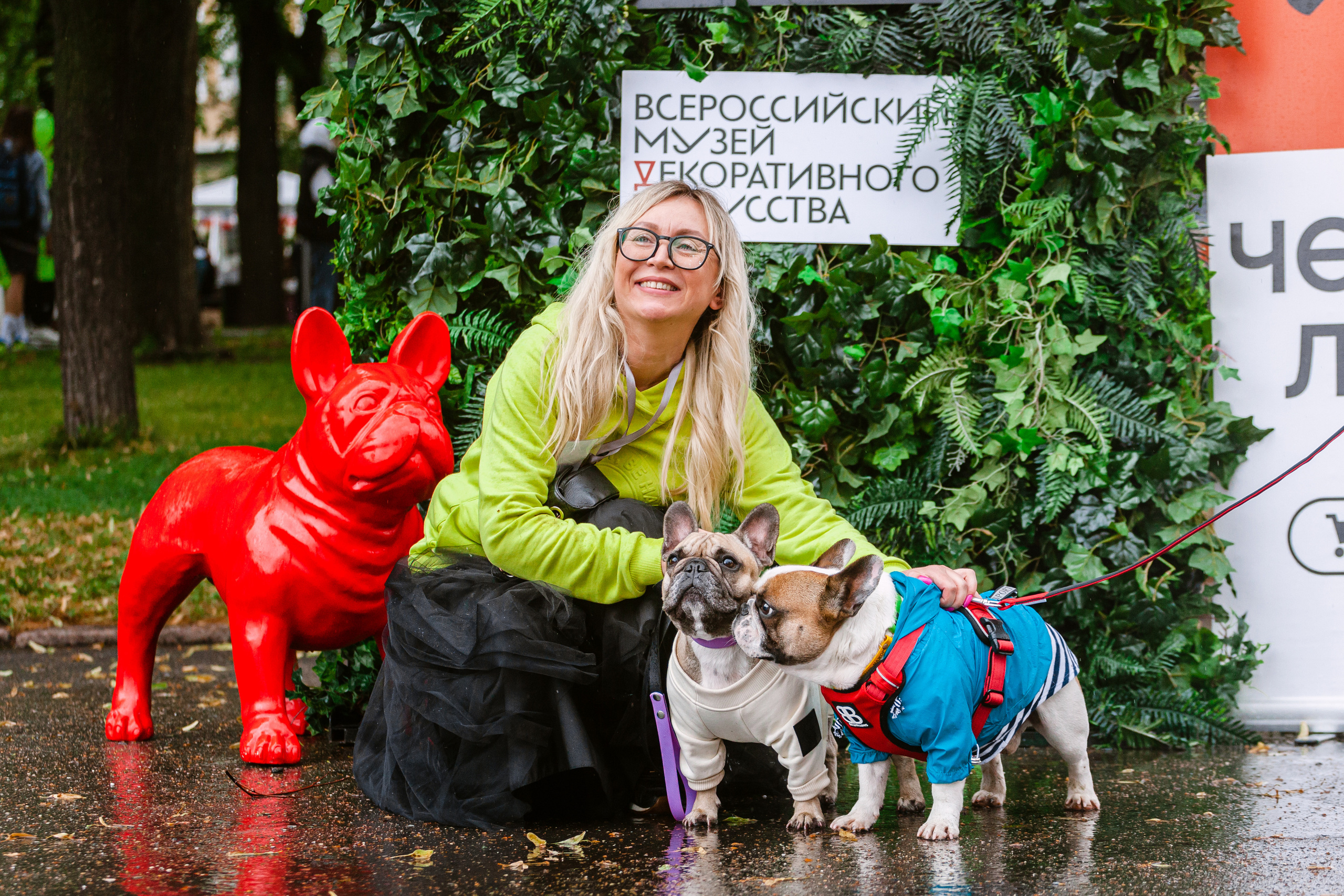 Парад французских бульдогов 15.07.2023. Фотограф-анималист Татьяна Степанова