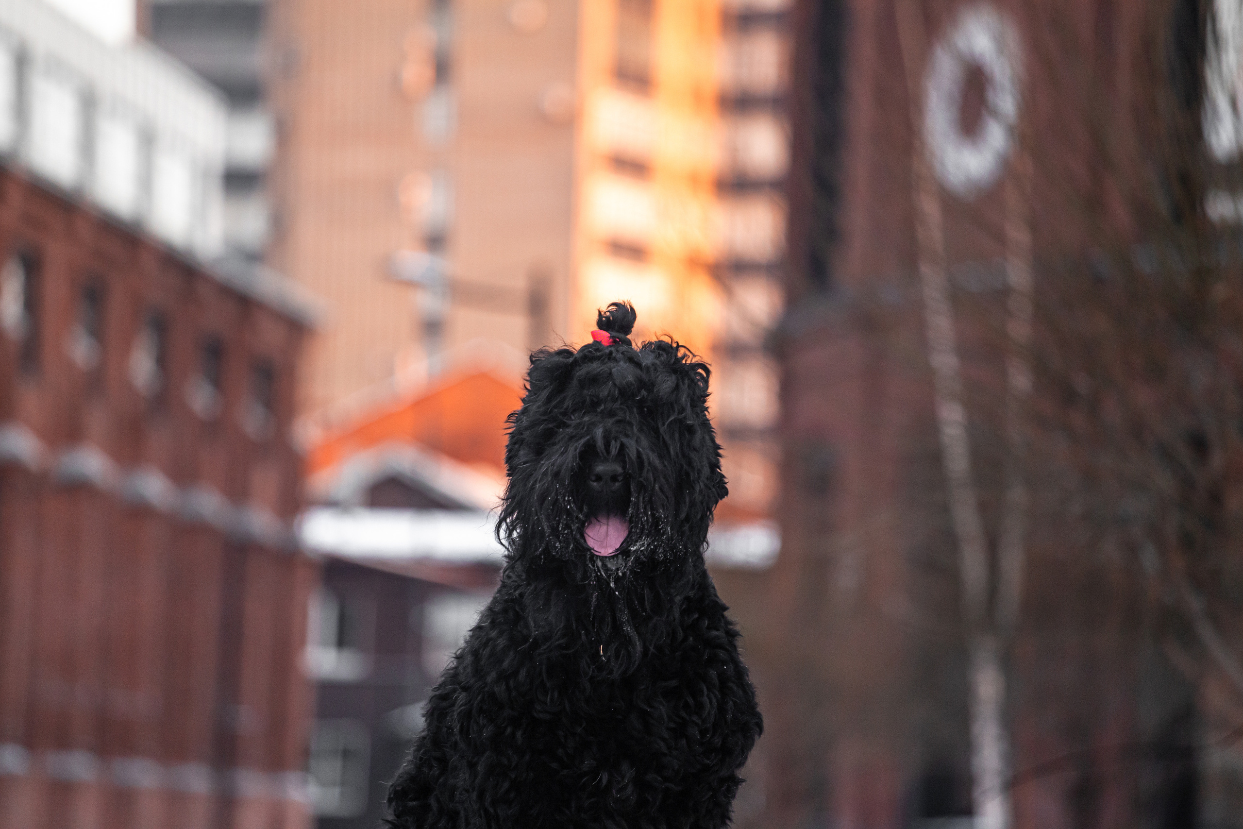 Фотопрогулка завод Арма. Фотограф-анималист Татьяна Степанова