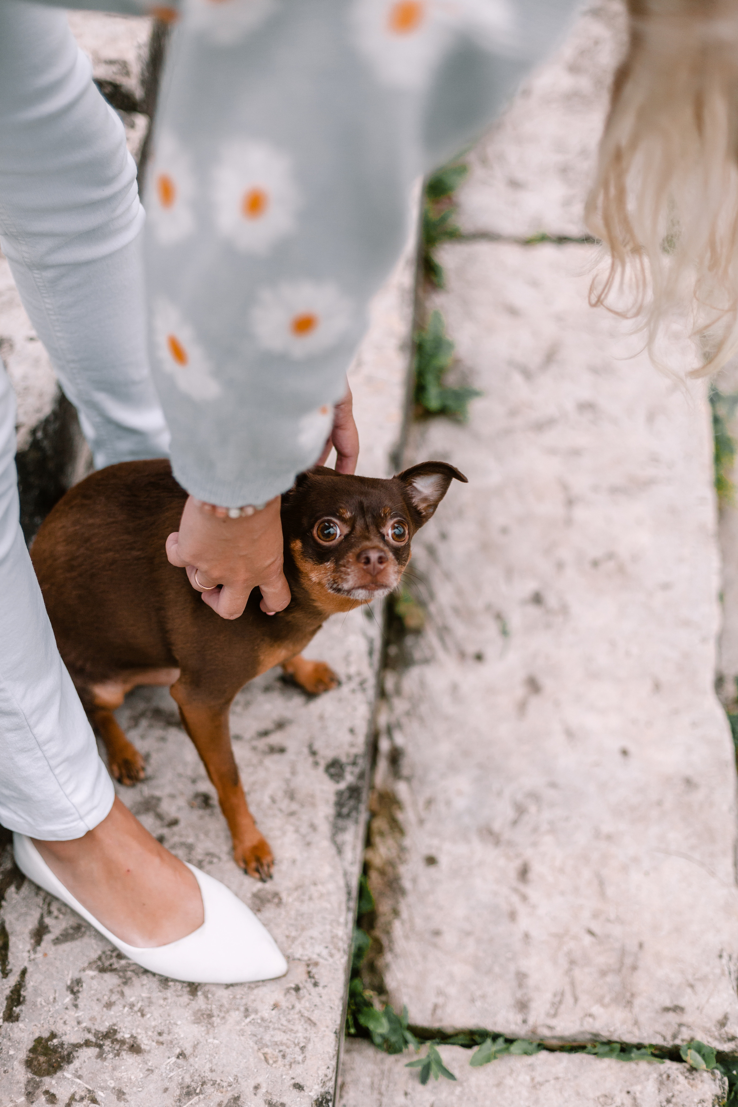 Юля и Леонид. Фотограф-анималист Татьяна Степанова