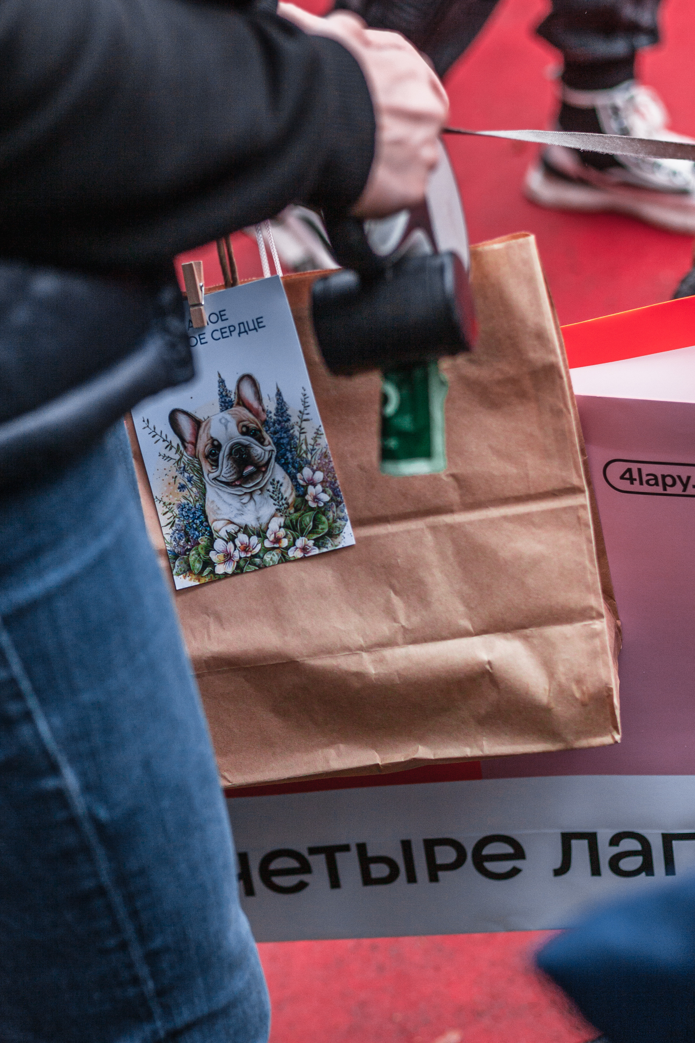 Парад французских бульдогов 15.07.2023. Фотограф-анималист Татьяна Степанова