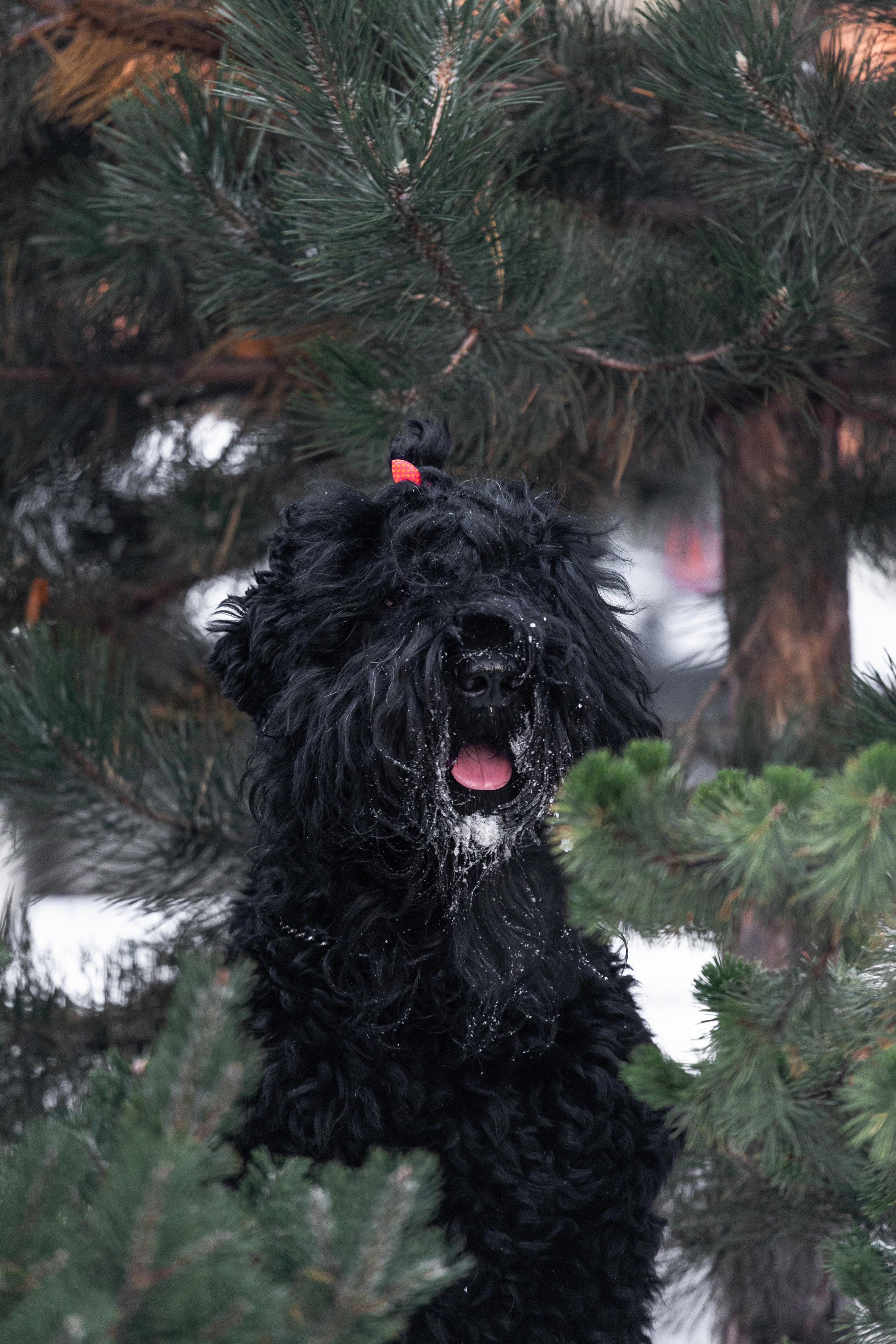 Фотопрогулка завод Арма. Фотограф-анималист Татьяна Степанова