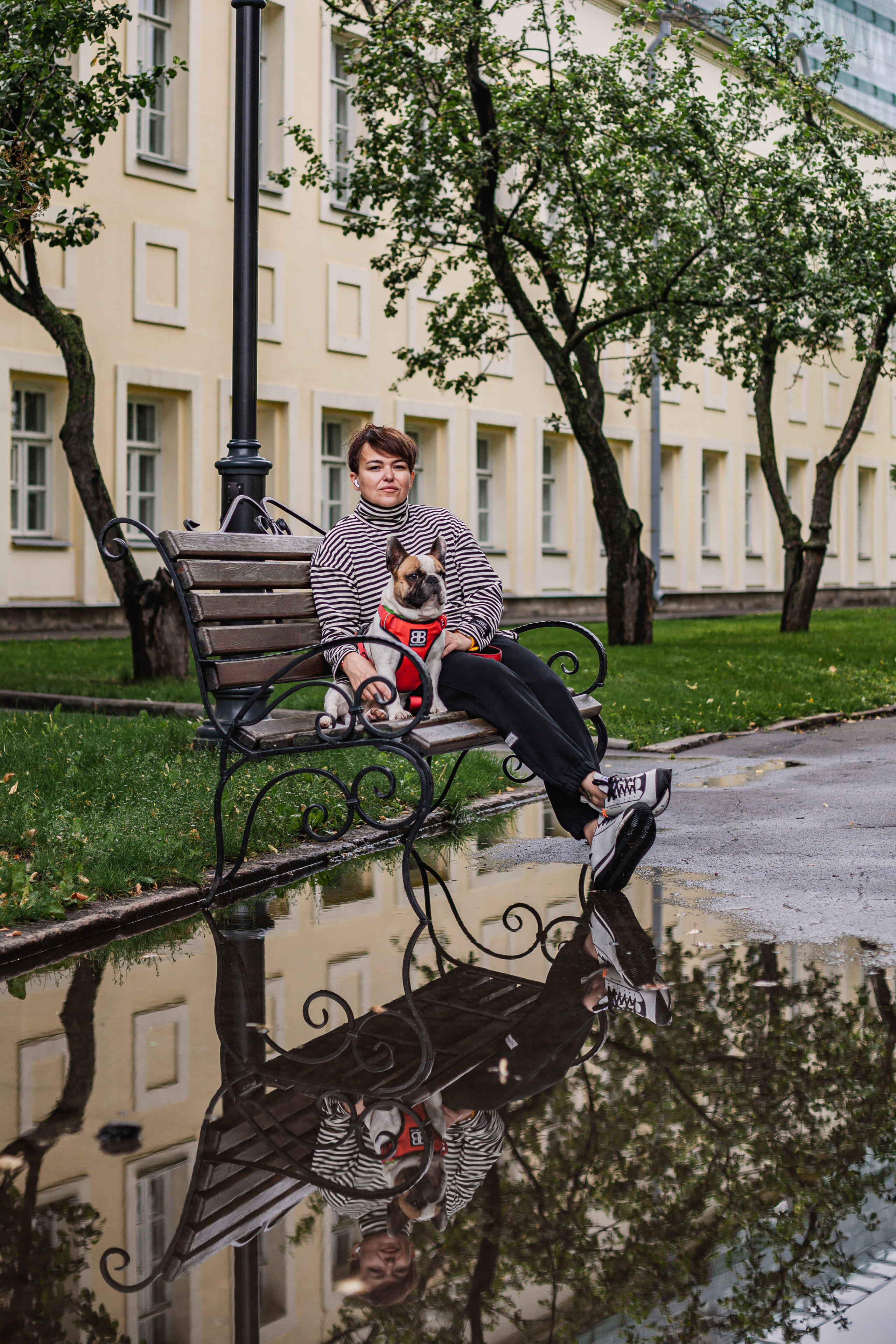 Парад французских бульдогов 15.07.2023. Фотограф-анималист Татьяна Степанова