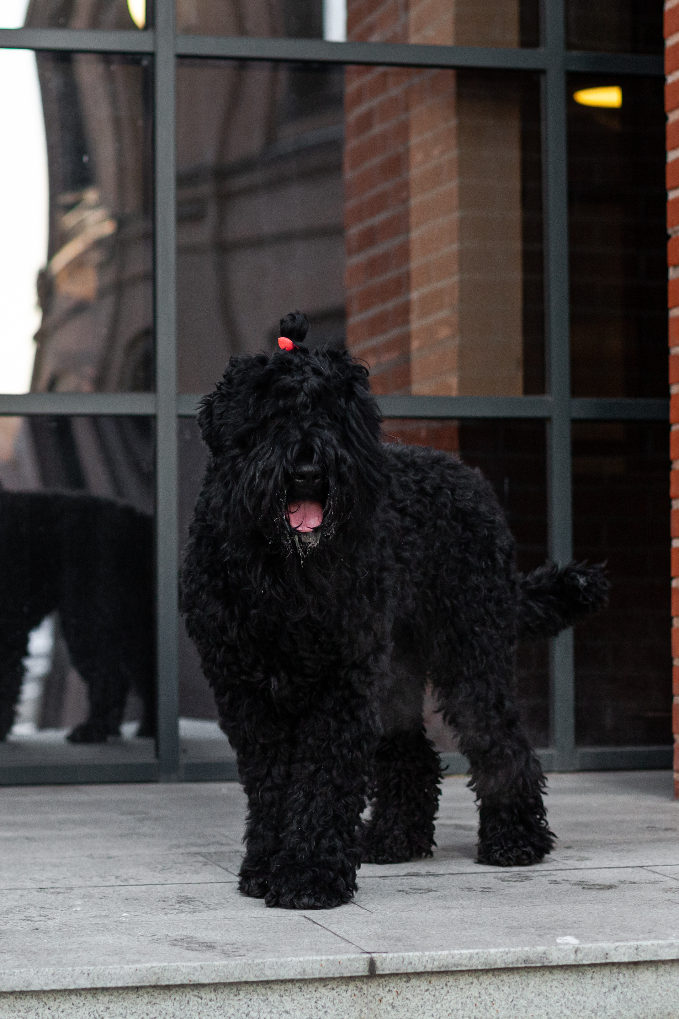 Фотопрогулка завод Арма. Фотограф-анималист Татьяна Степанова