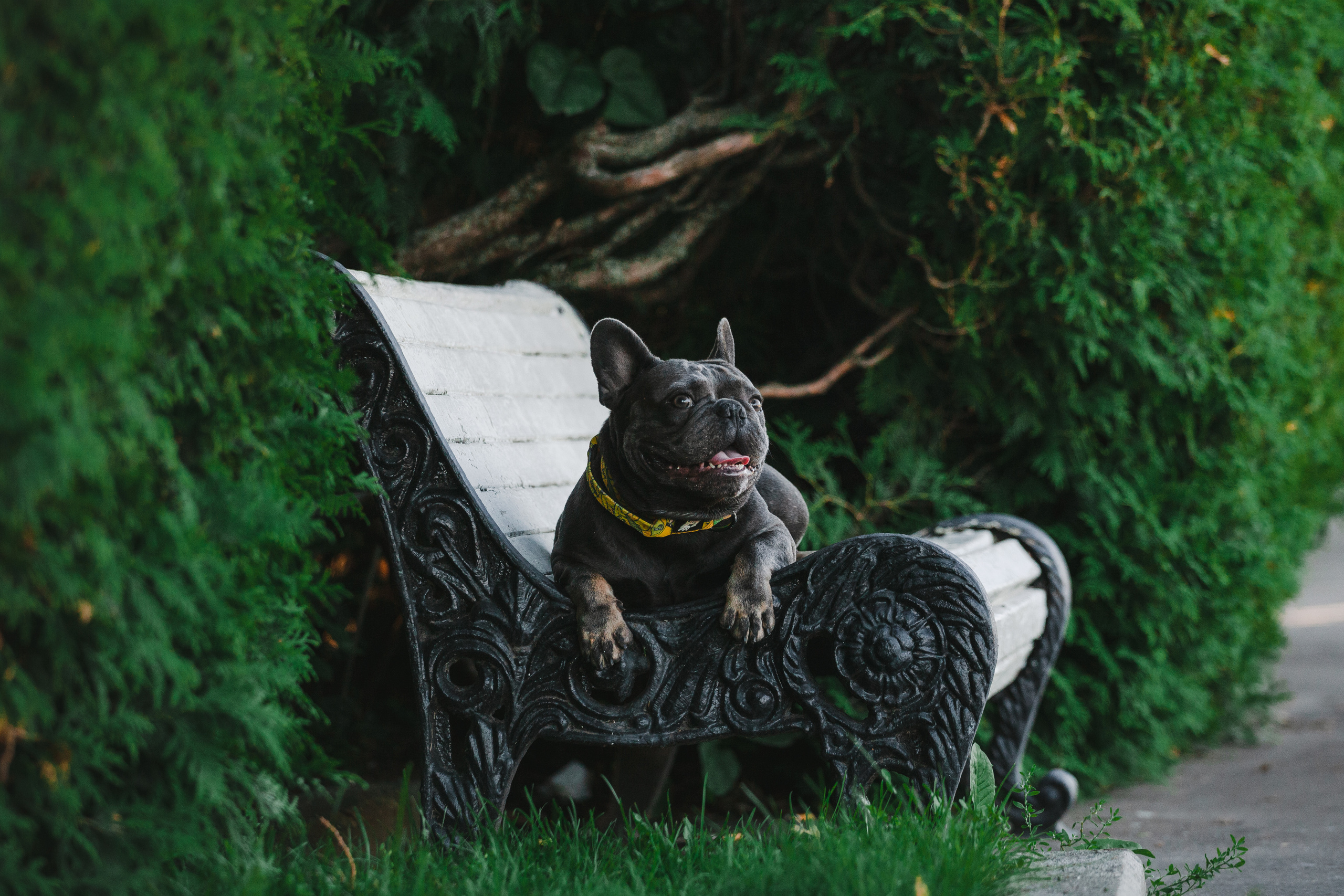 Фотопрогулка у МГУ. Фотограф-анималист Татьяна Степанова