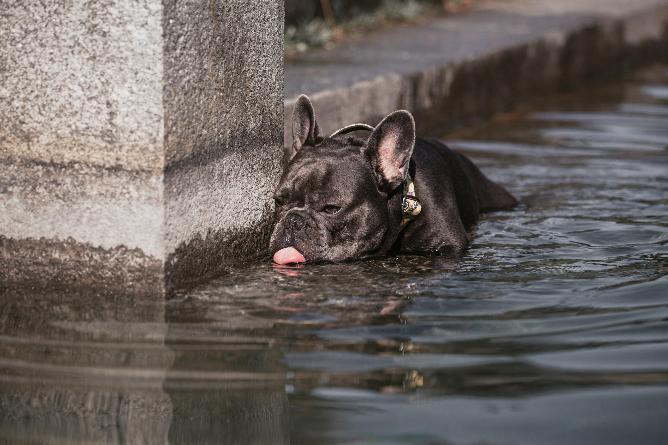 Фотопрогулка у МГУ. Фотограф-анималист Татьяна Степанова
