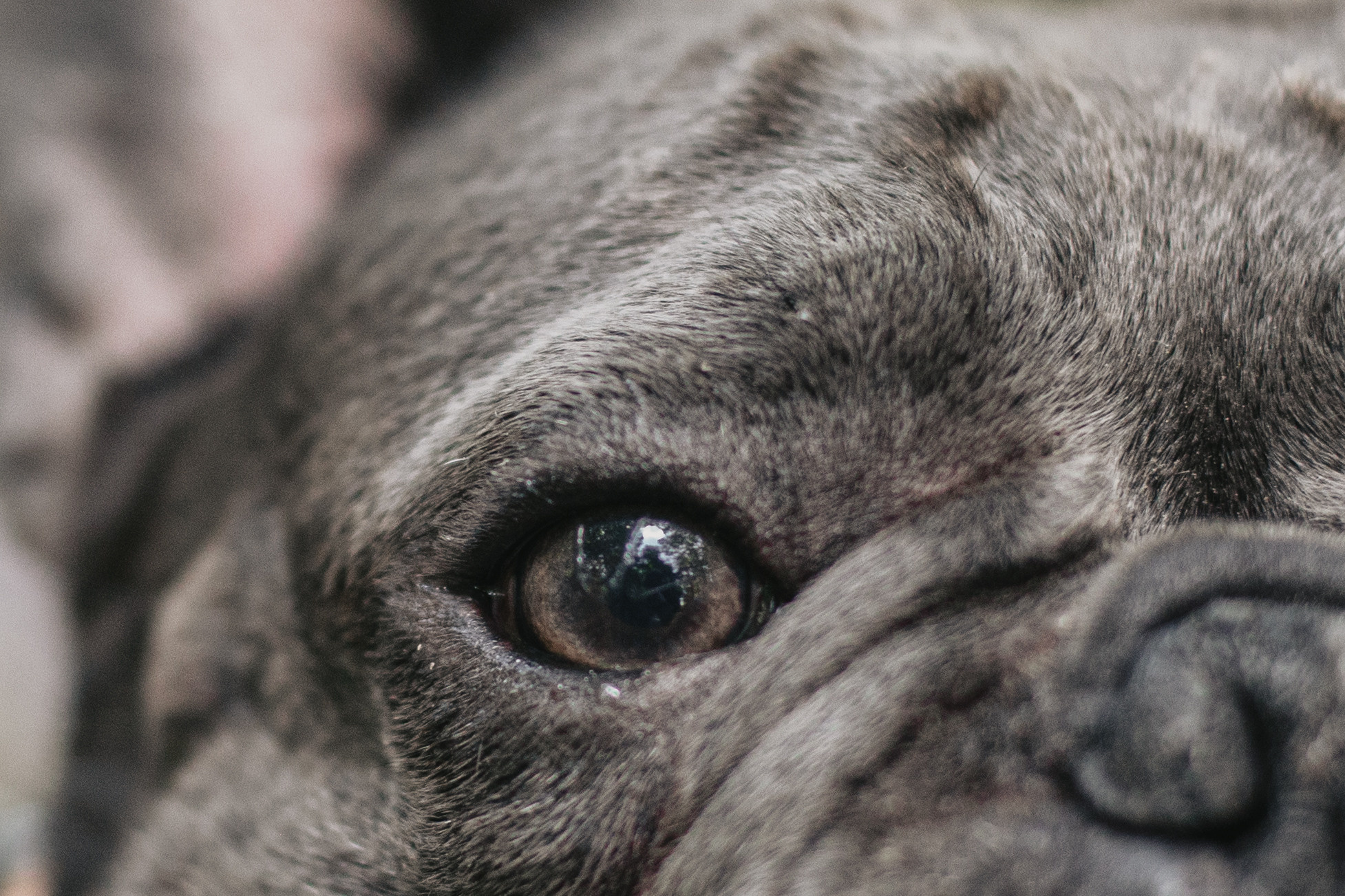 Фотопрогулка у МГУ. Фотограф-анималист Татьяна Степанова