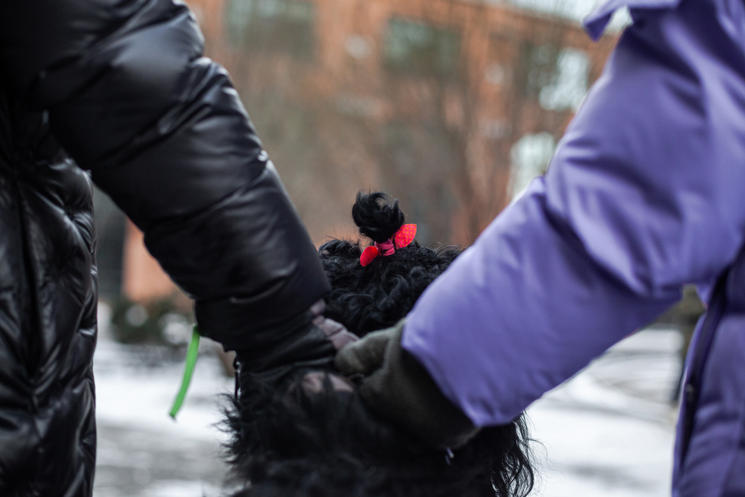 Фотопрогулка завод Арма. Фотограф-анималист Татьяна Степанова