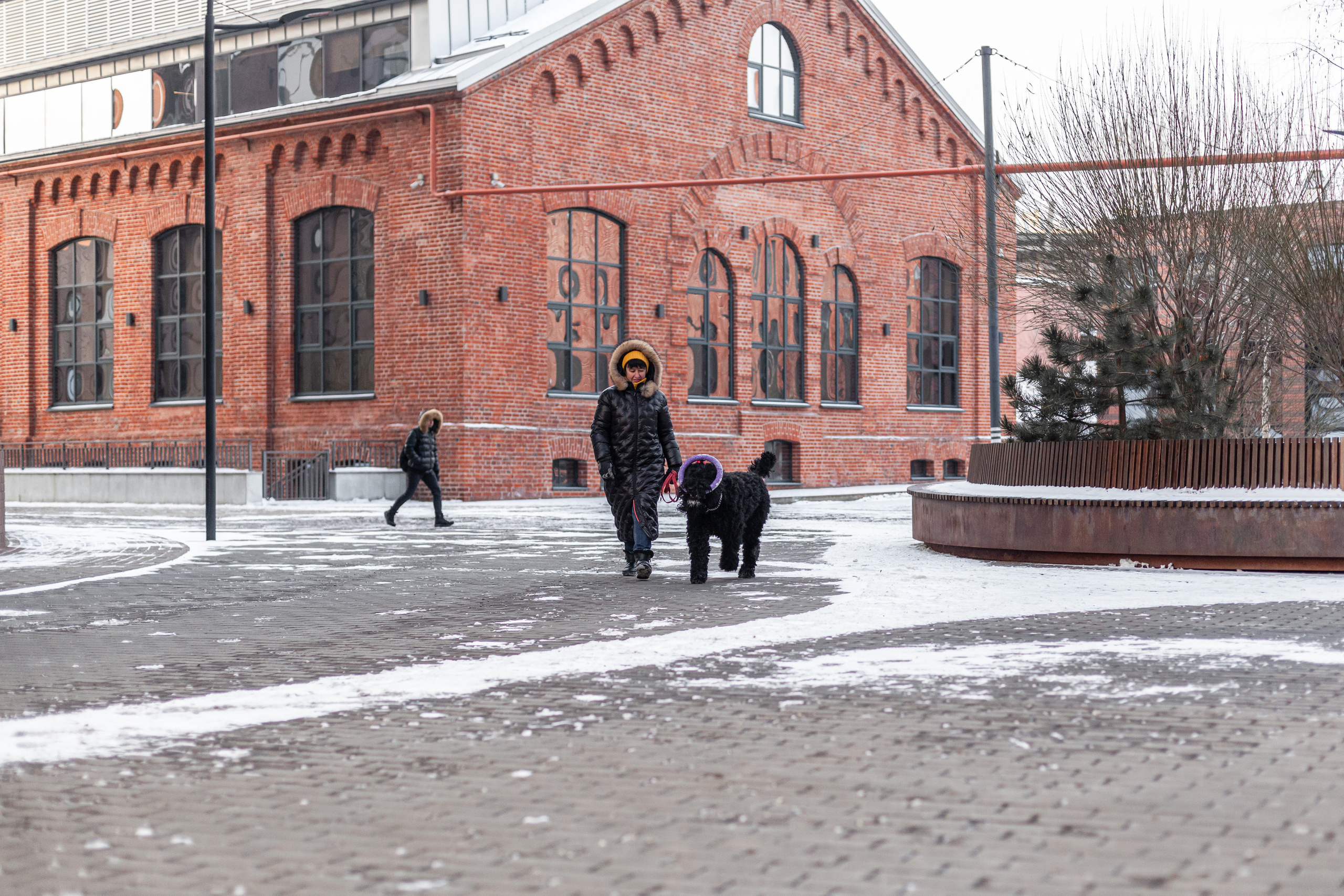 Фотопрогулка завод Арма. Фотограф-анималист Татьяна Степанова
