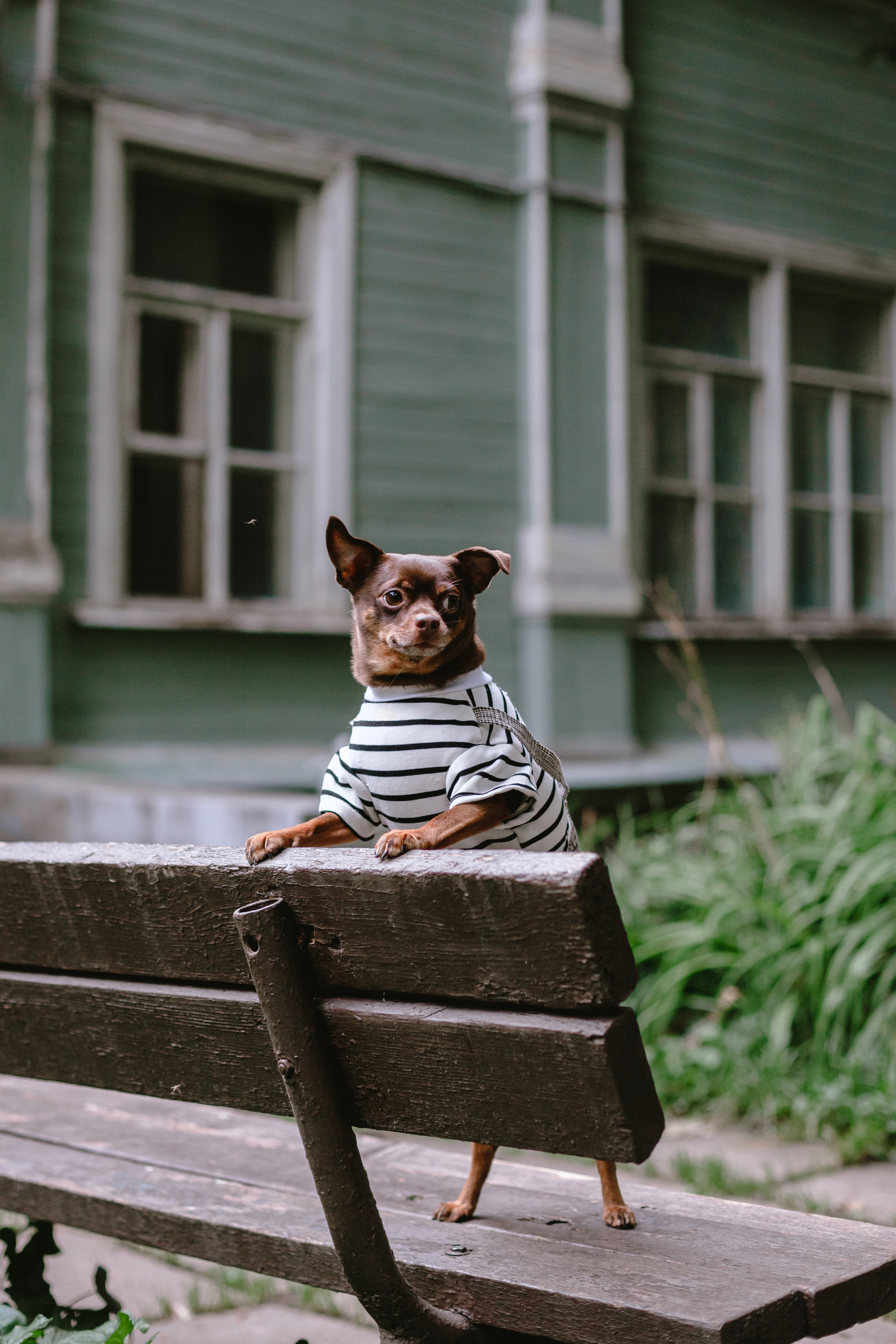 Юля и Леонид. Фотограф-анималист Татьяна Степанова