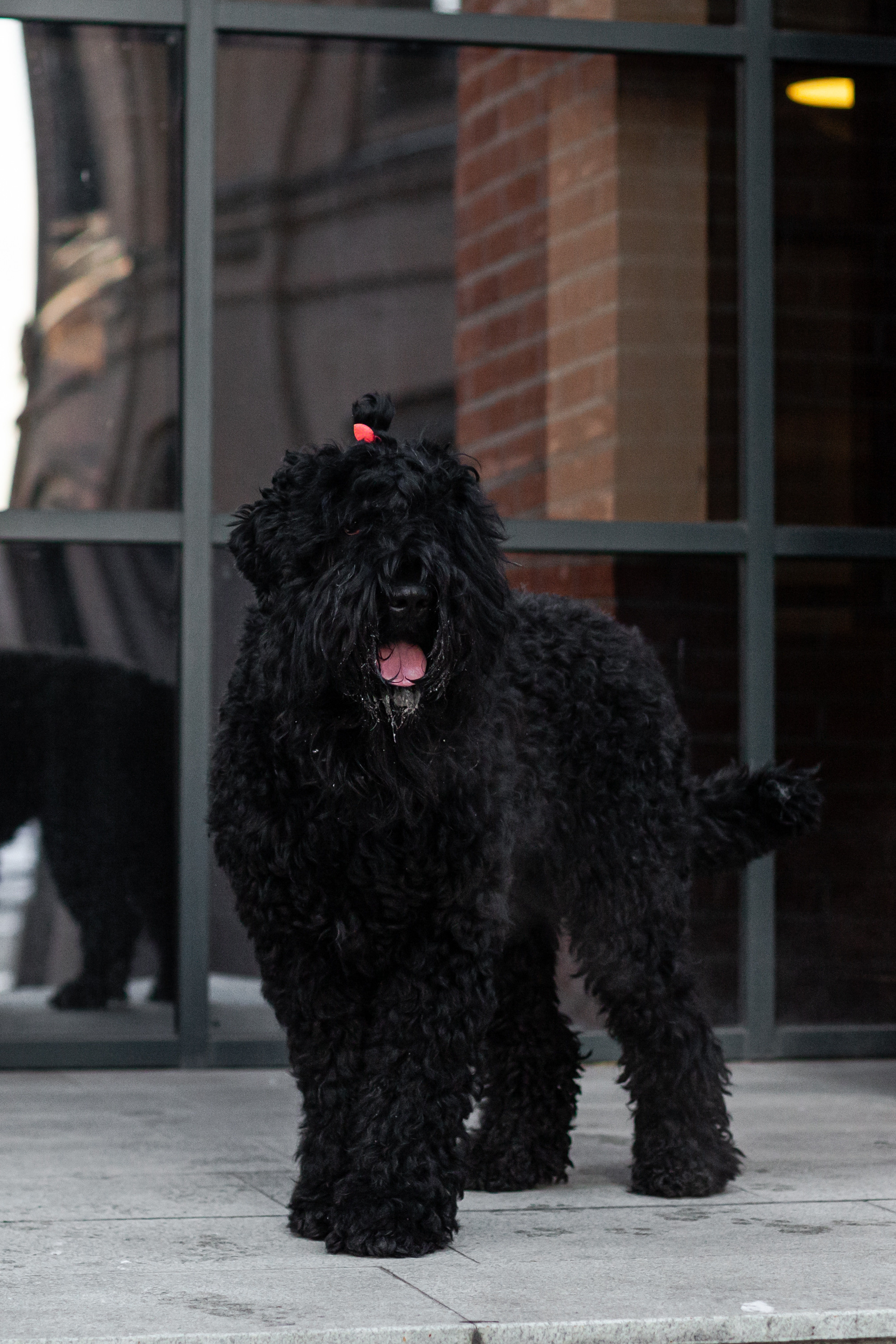 Фотопрогулка завод Арма. Фотограф-анималист Татьяна Степанова