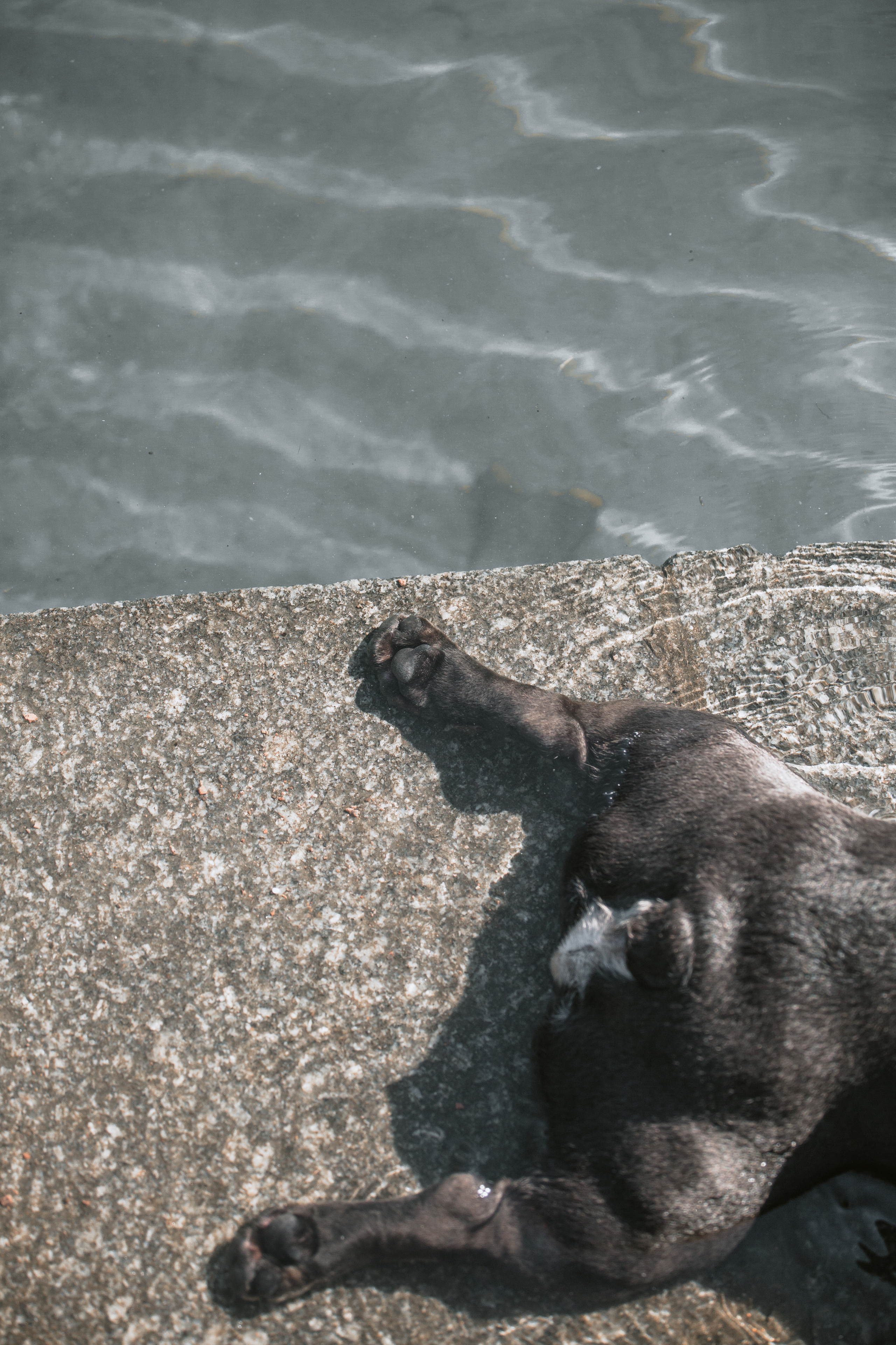 Фотопрогулка у МГУ. Фотограф-анималист Татьяна Степанова