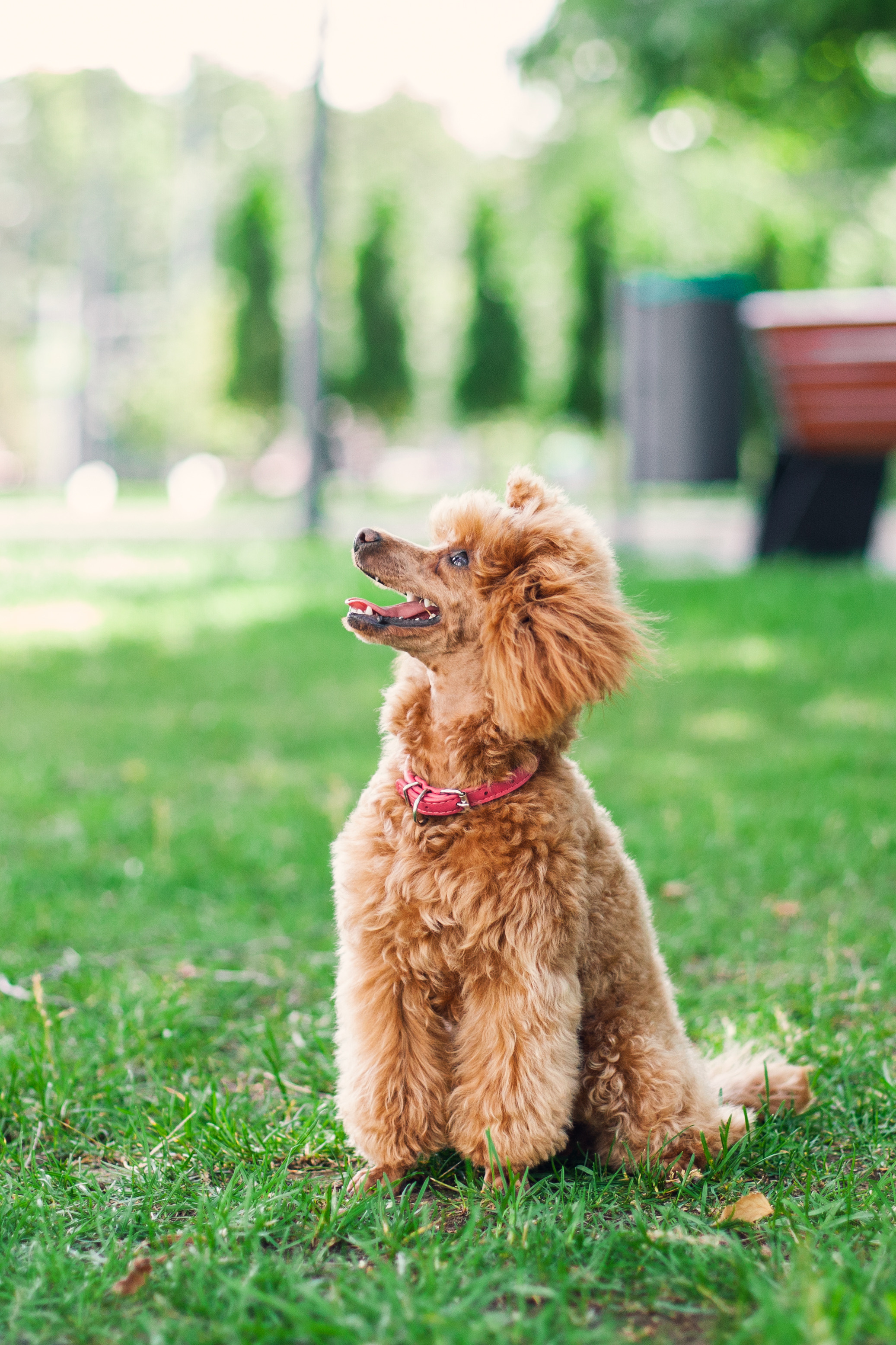 Оля и Ася. Фотограф-анималист Татьяна Степанова