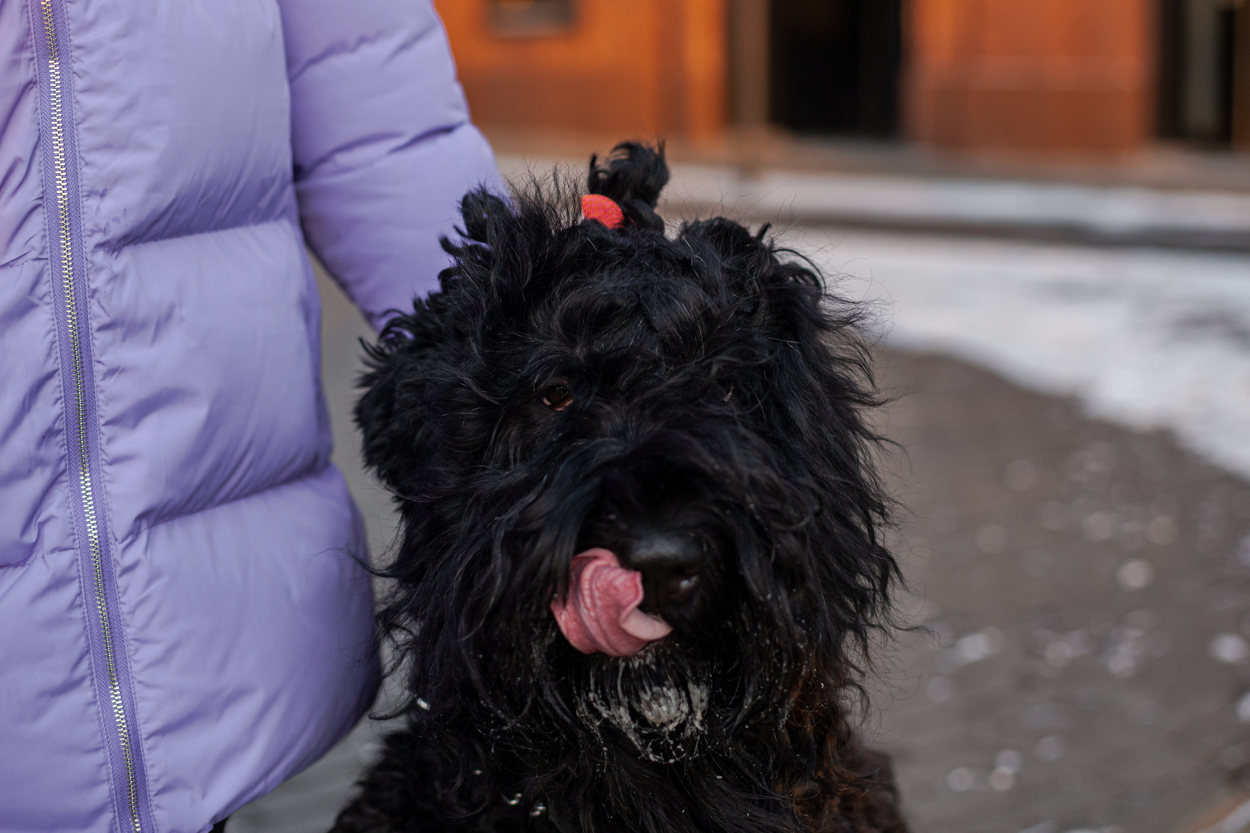Фотопрогулка завод Арма. Фотограф-анималист Татьяна Степанова
