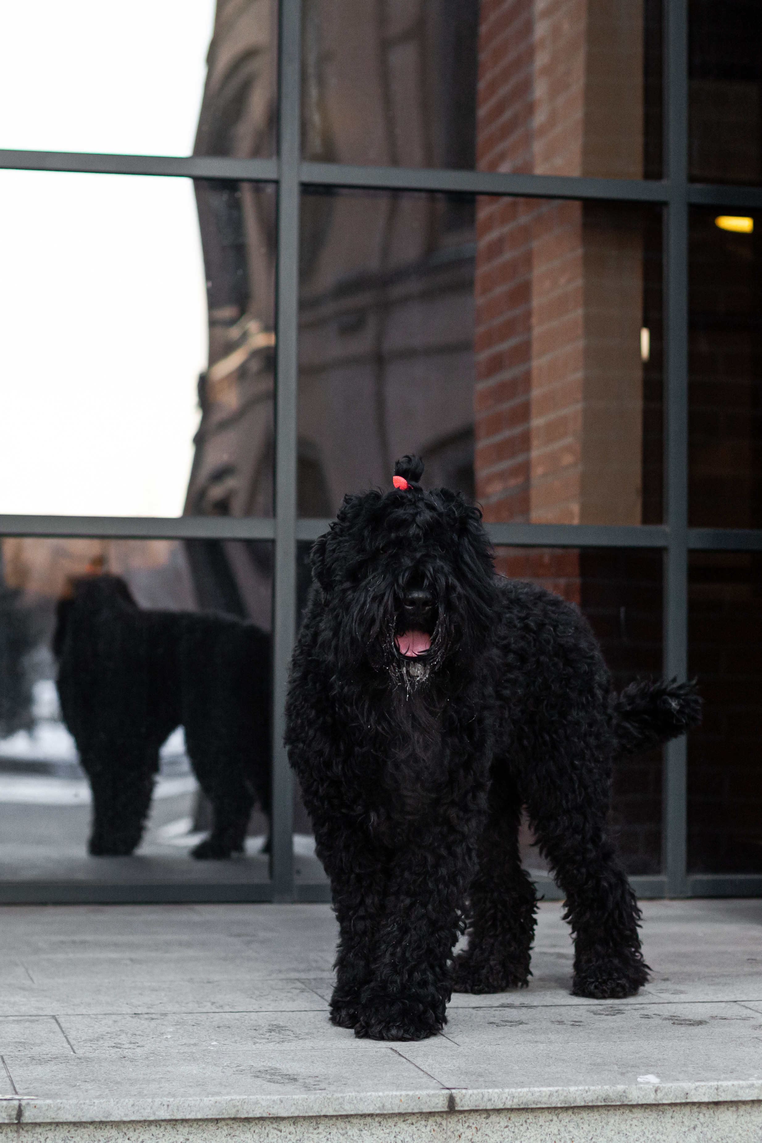 Фотопрогулка завод Арма. Фотограф-анималист Татьяна Степанова