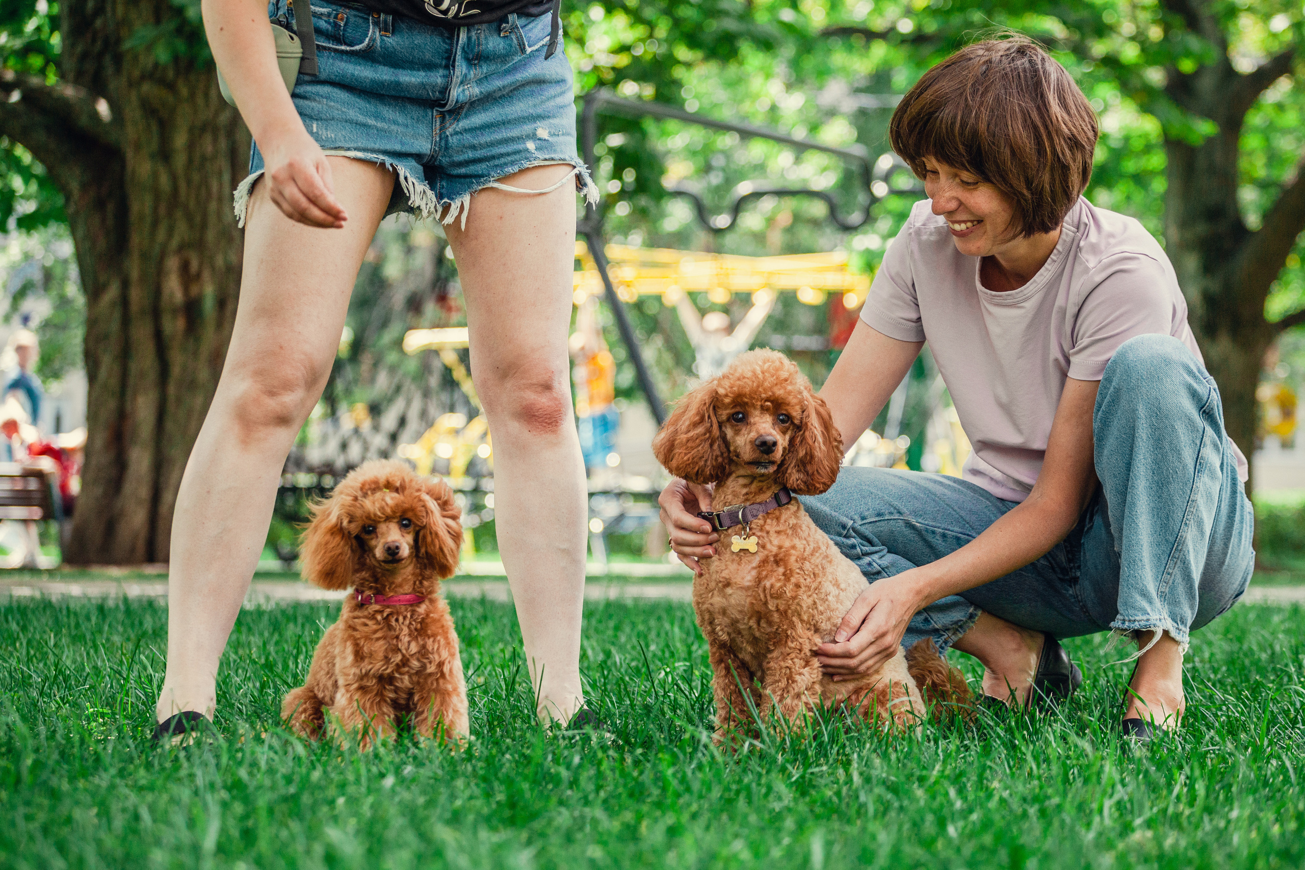 Оля и Ася. Фотограф-анималист Татьяна Степанова