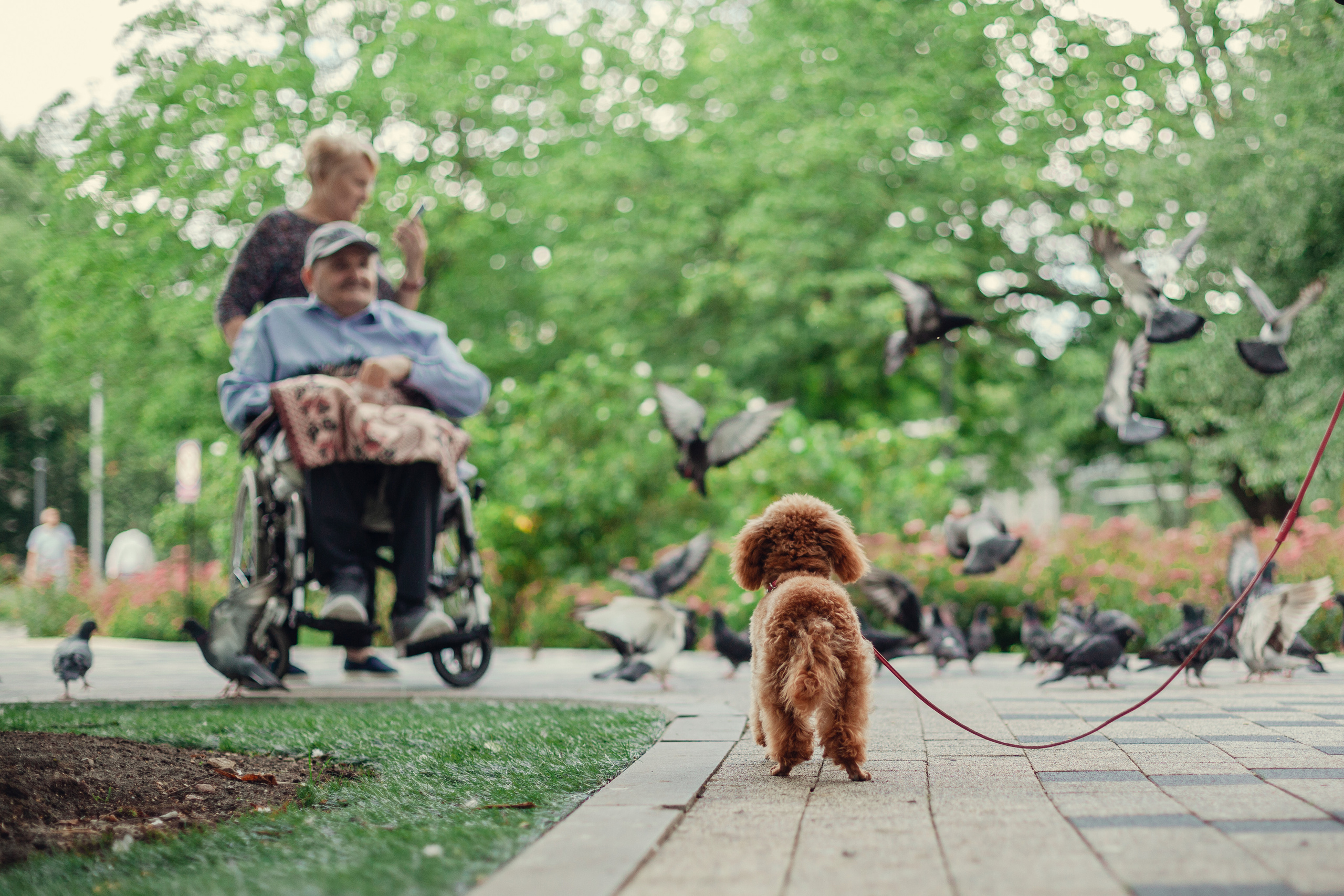 Оля и Ася. Фотограф-анималист Татьяна Степанова