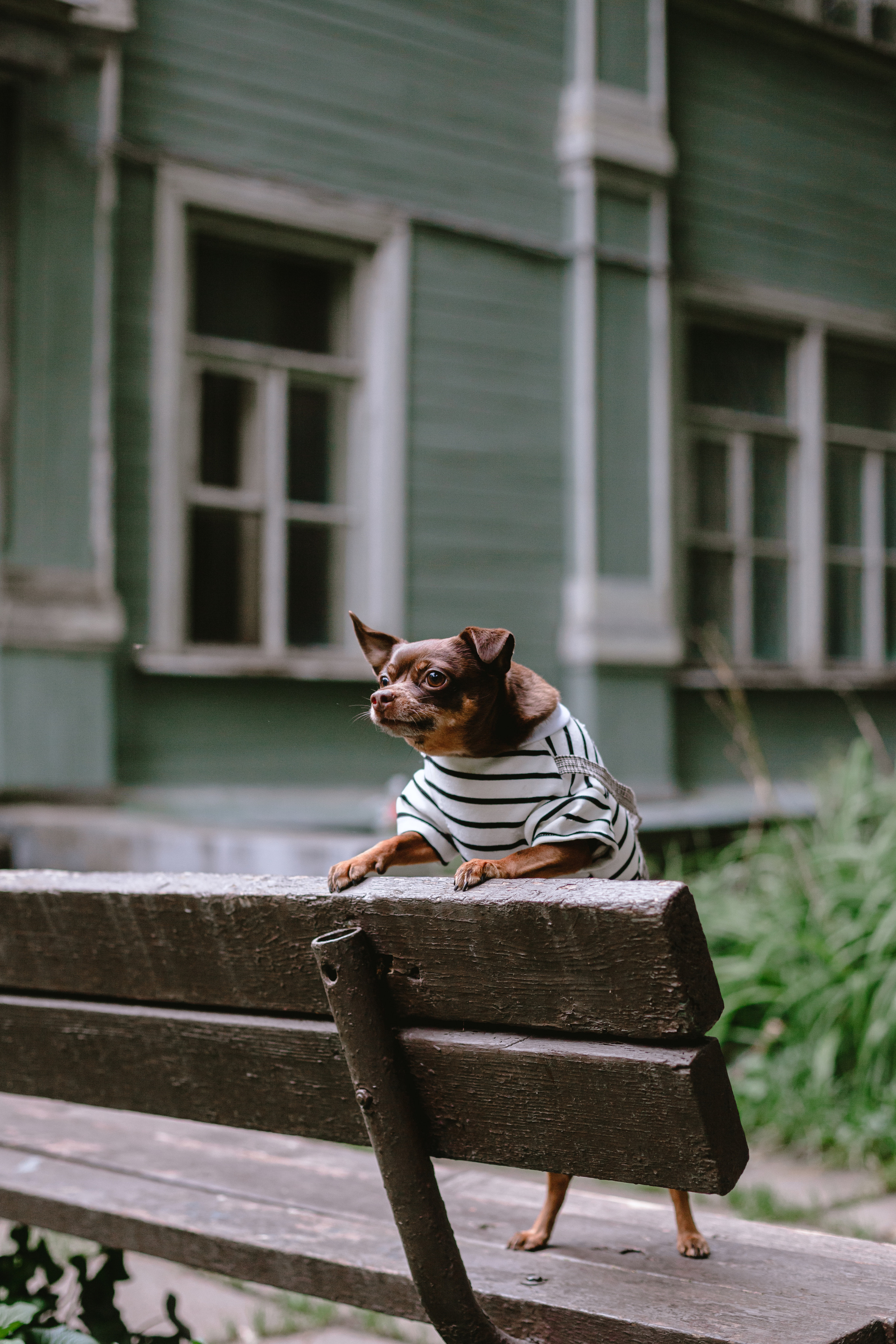 Юля и Леонид. Фотограф-анималист Татьяна Степанова