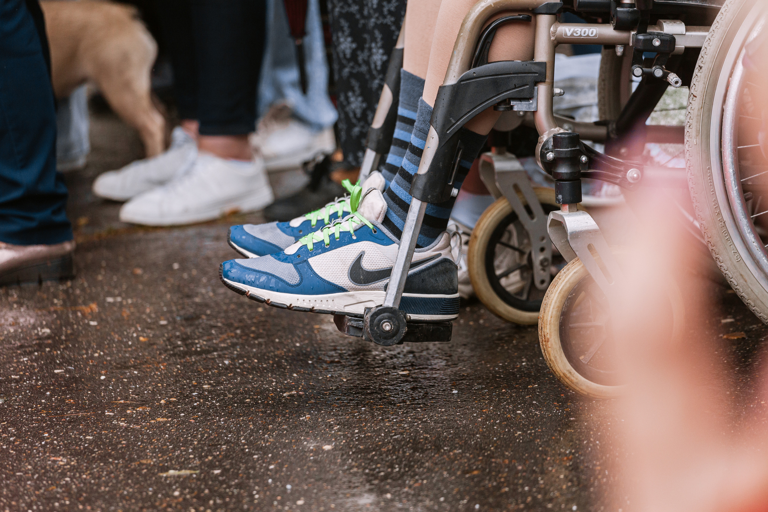 Парад французских бульдогов 15.07.2023. Фотограф-анималист Татьяна Степанова