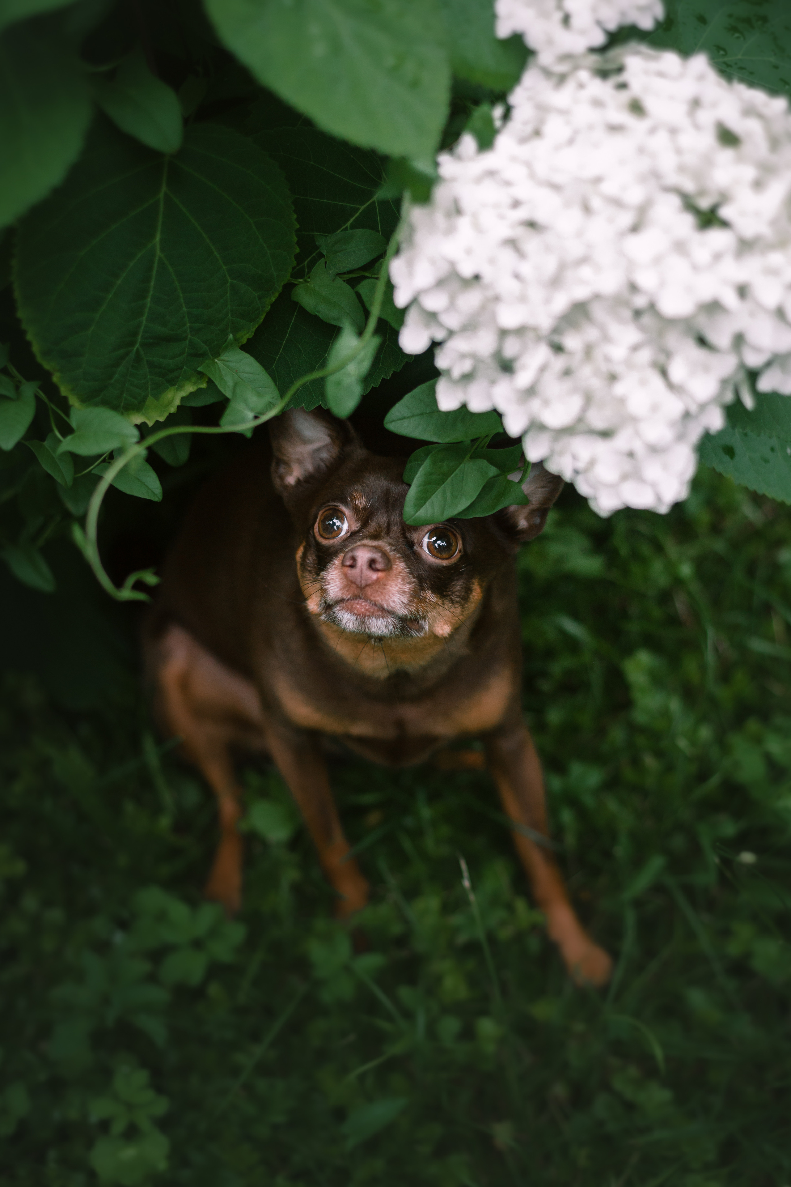 Юля и Леонид. Фотограф-анималист Татьяна Степанова