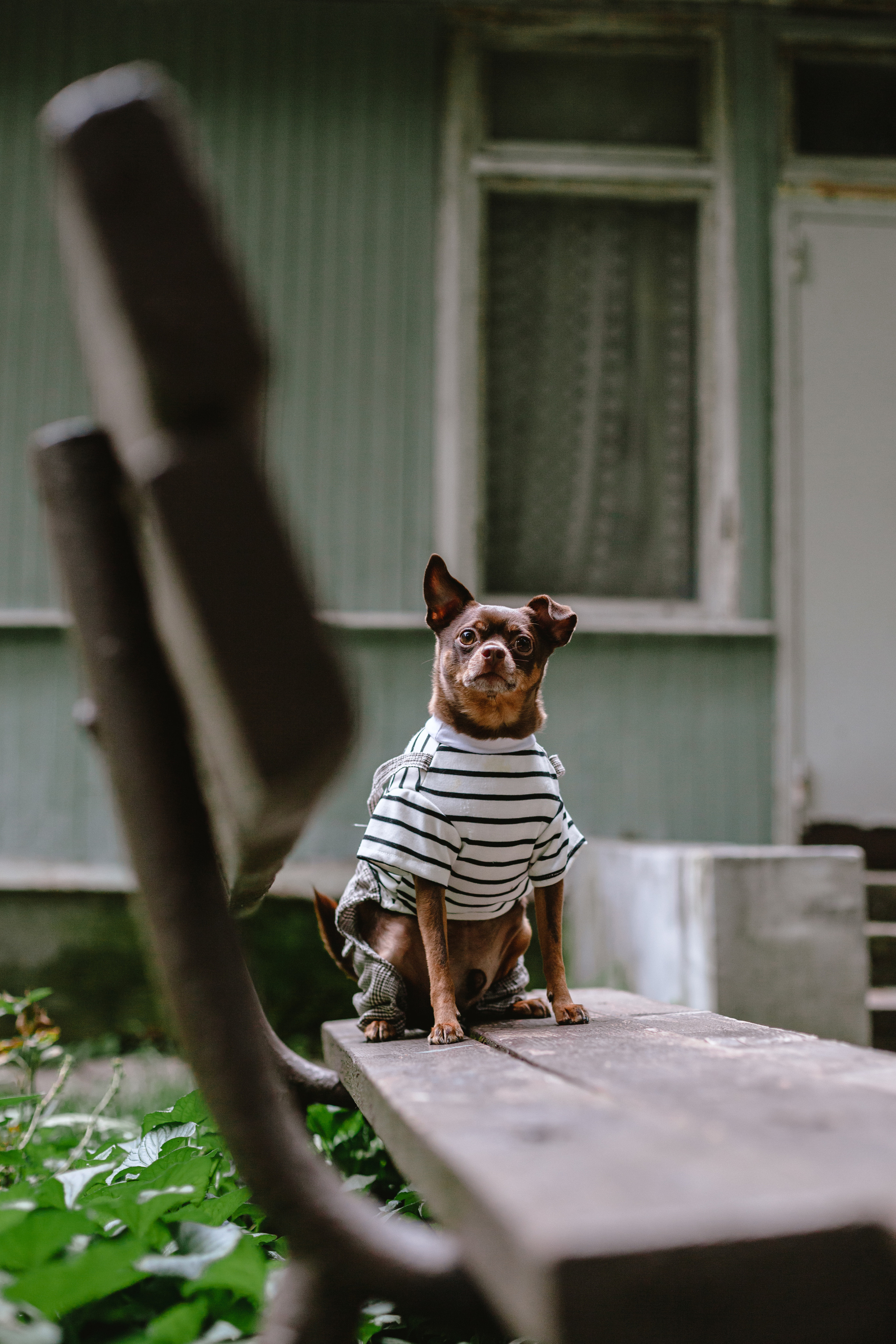 Юля и Леонид. Фотограф-анималист Татьяна Степанова