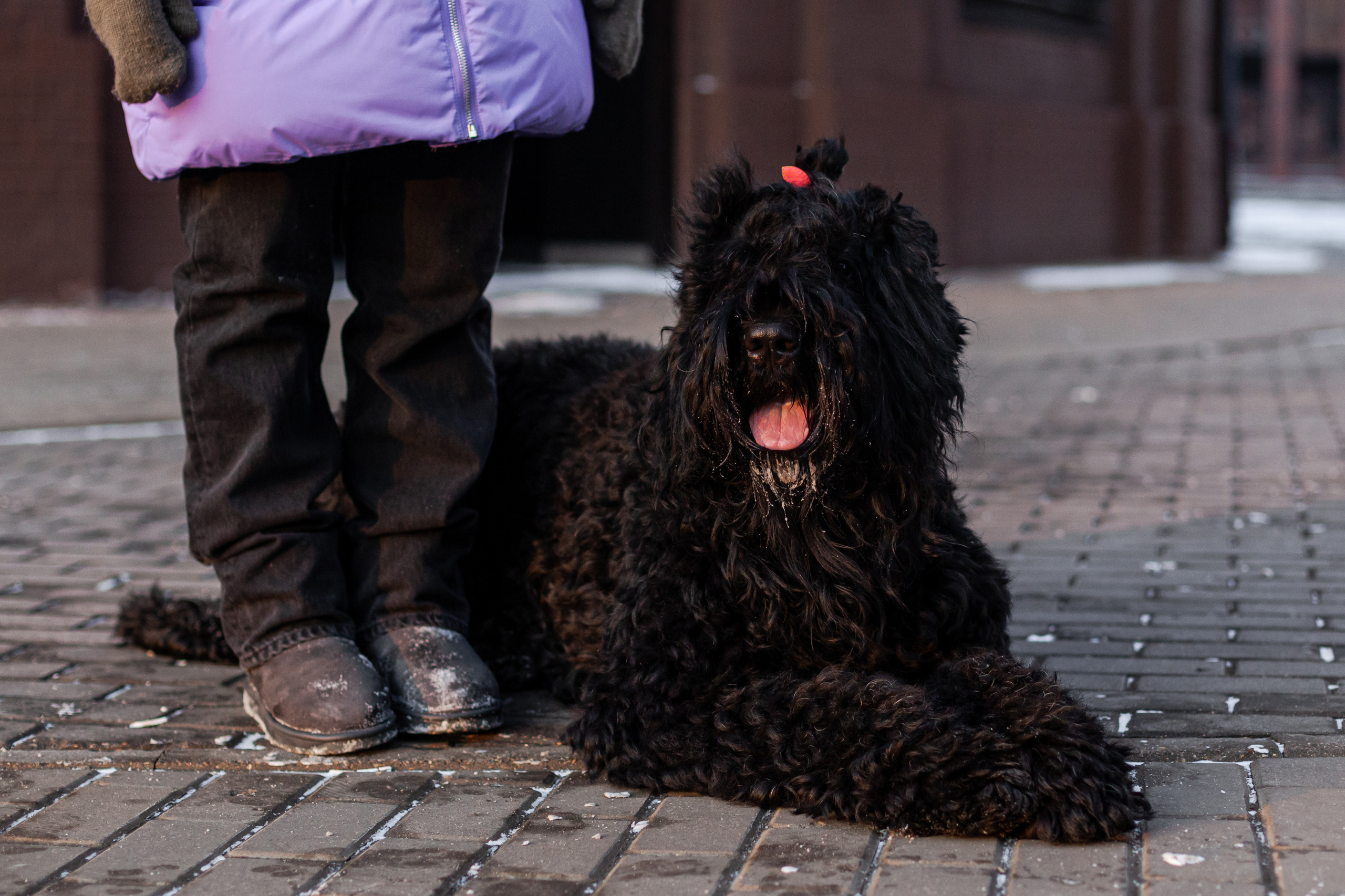 Фотопрогулка завод Арма. Фотограф-анималист Татьяна Степанова