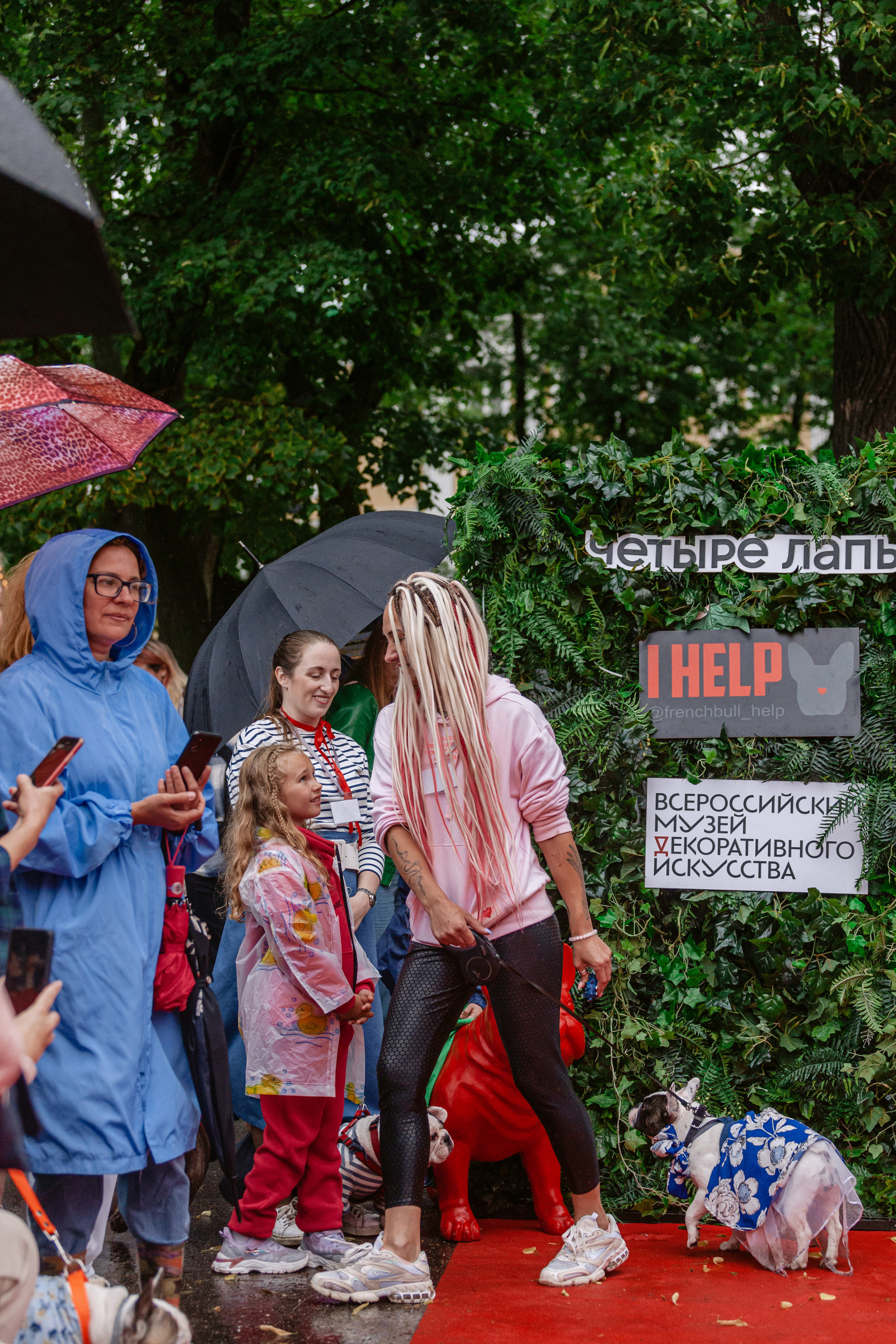 Парад французских бульдогов 15.07.2023. Фотограф-анималист Татьяна Степанова
