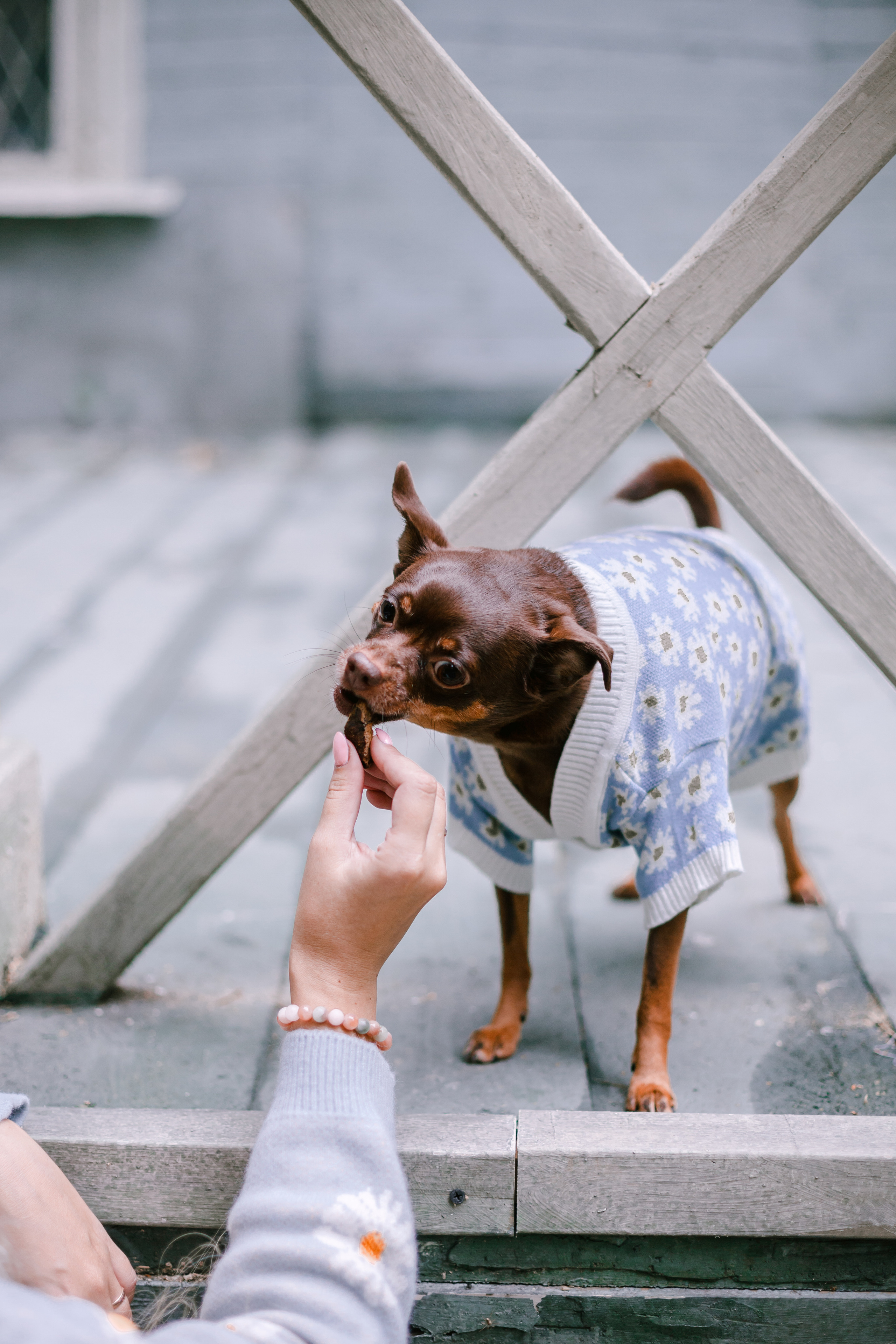 Юля и Леонид. Фотограф-анималист Татьяна Степанова