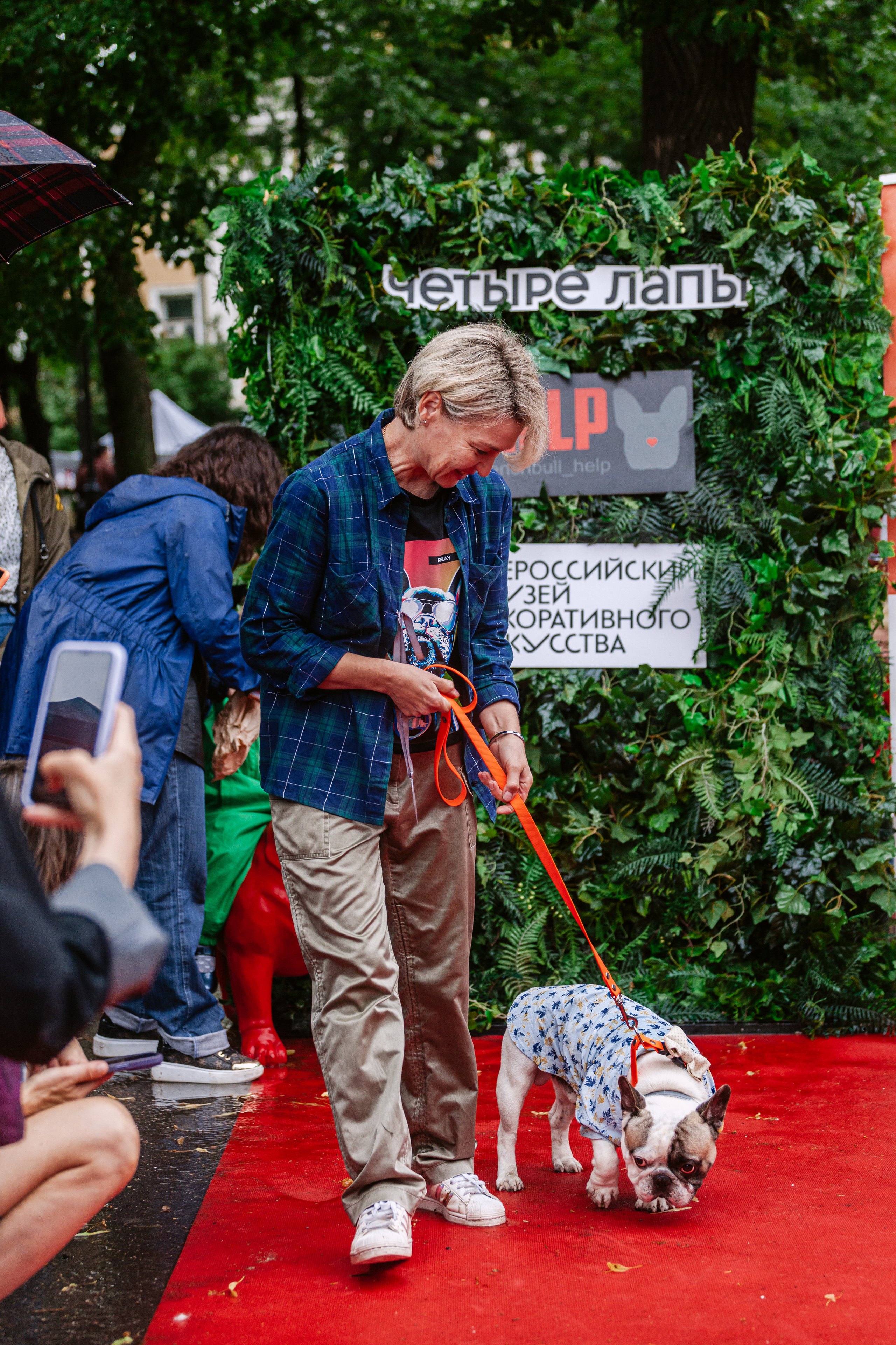 Парад французских бульдогов 15.07.2023. Фотограф-анималист Татьяна Степанова