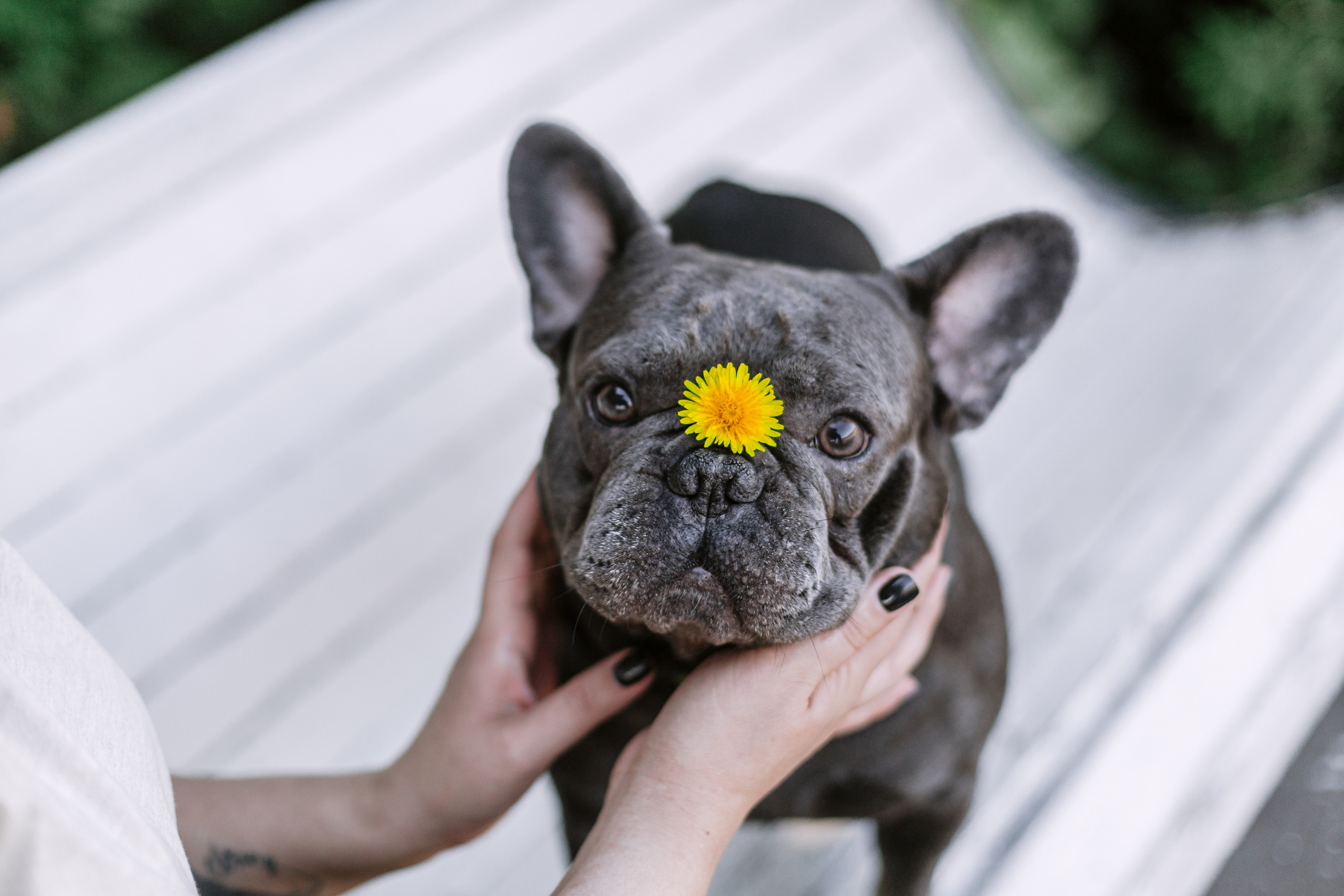 Фотопрогулка у МГУ. Фотограф-анималист Татьяна Степанова