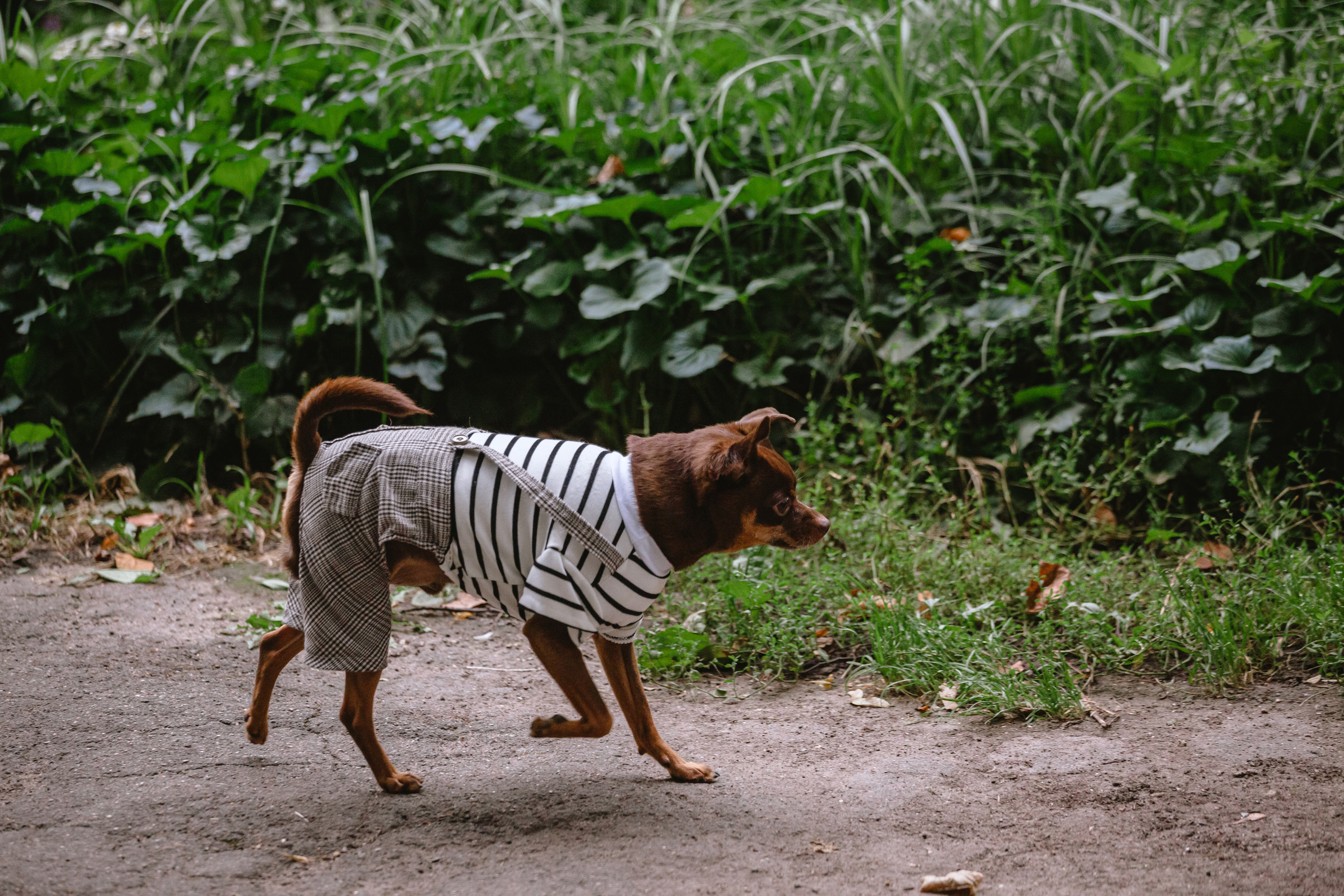 Юля и Леонид. Фотограф-анималист Татьяна Степанова