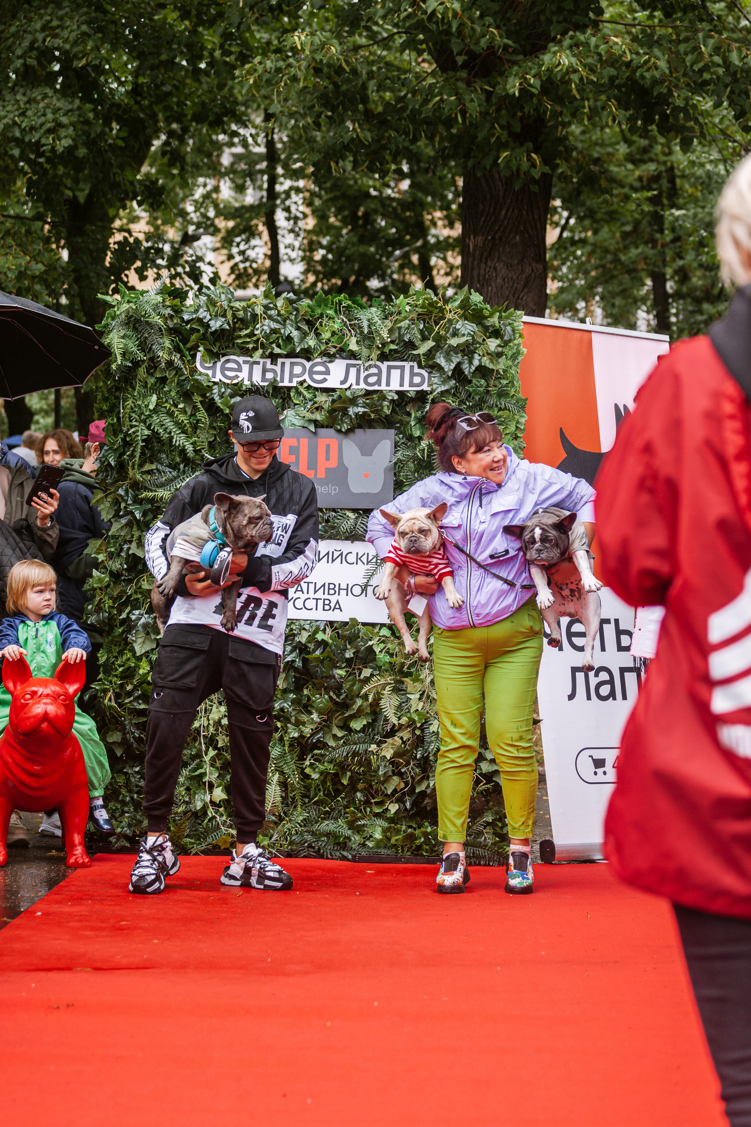 Парад французских бульдогов 15.07.2023. Фотограф-анималист Татьяна Степанова