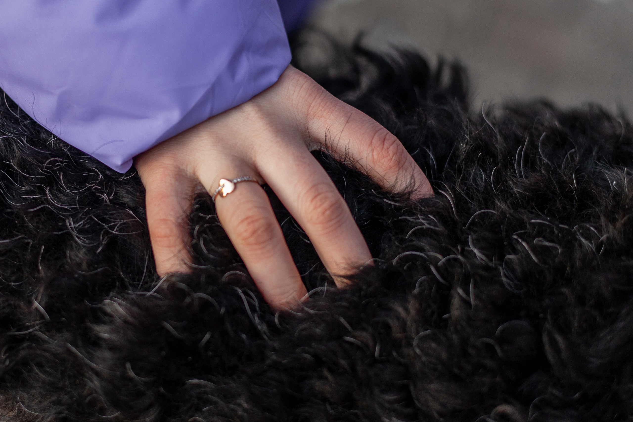 Фотопрогулка завод Арма. Фотограф-анималист Татьяна Степанова