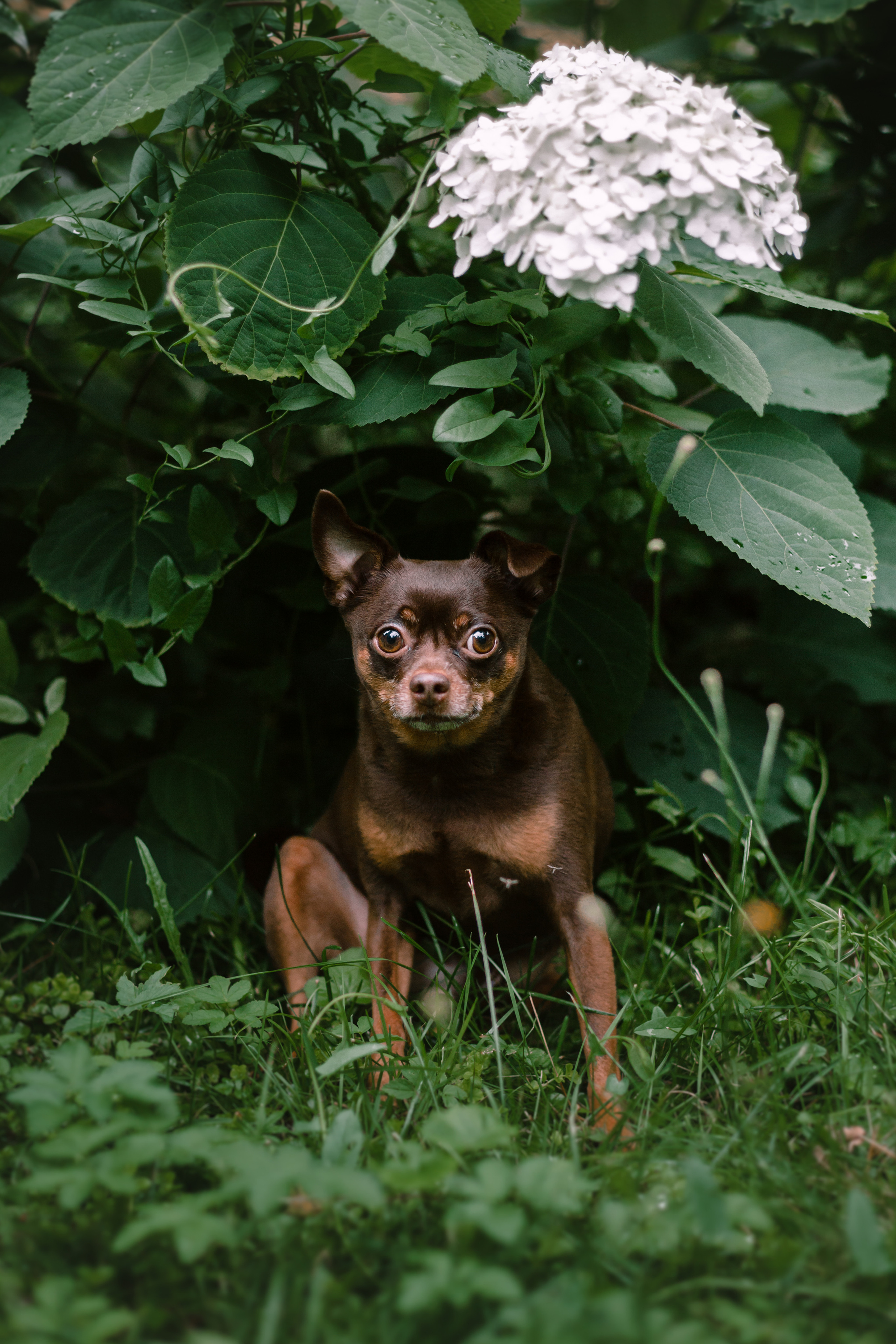 Юля и Леонид. Фотограф-анималист Татьяна Степанова